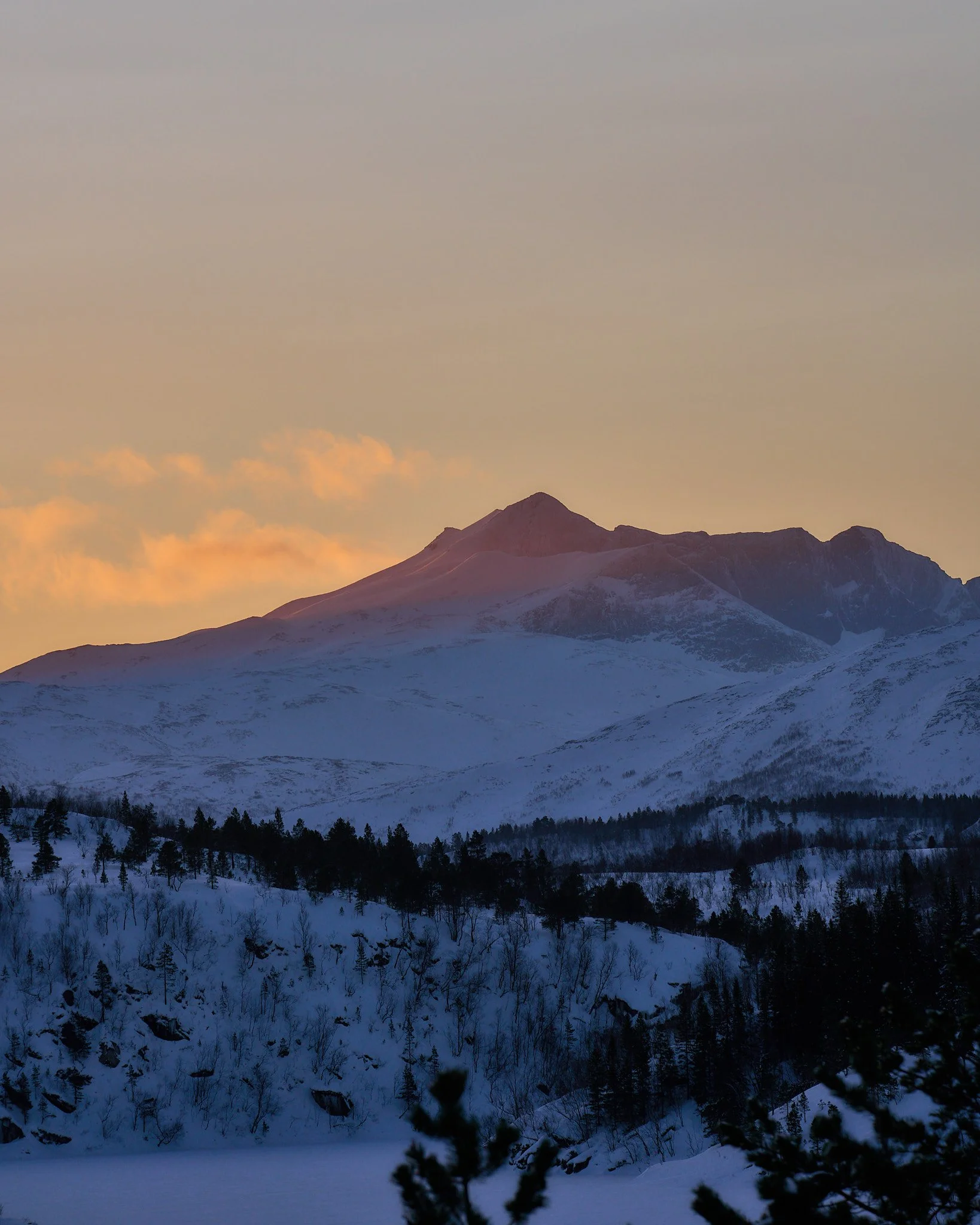 _DSC0202 2048 web.jpg