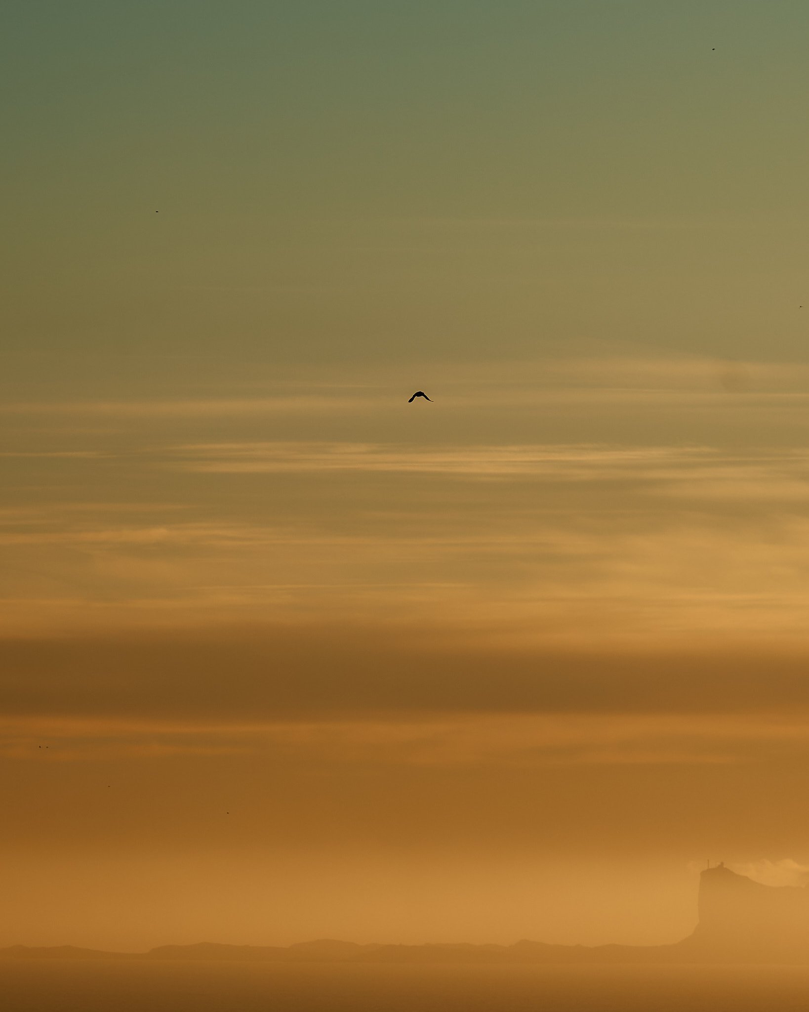 _DSC0377 2048 web.jpg