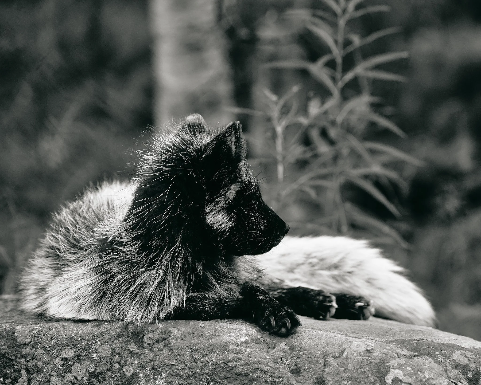 DSC01364 2048 web.jpg