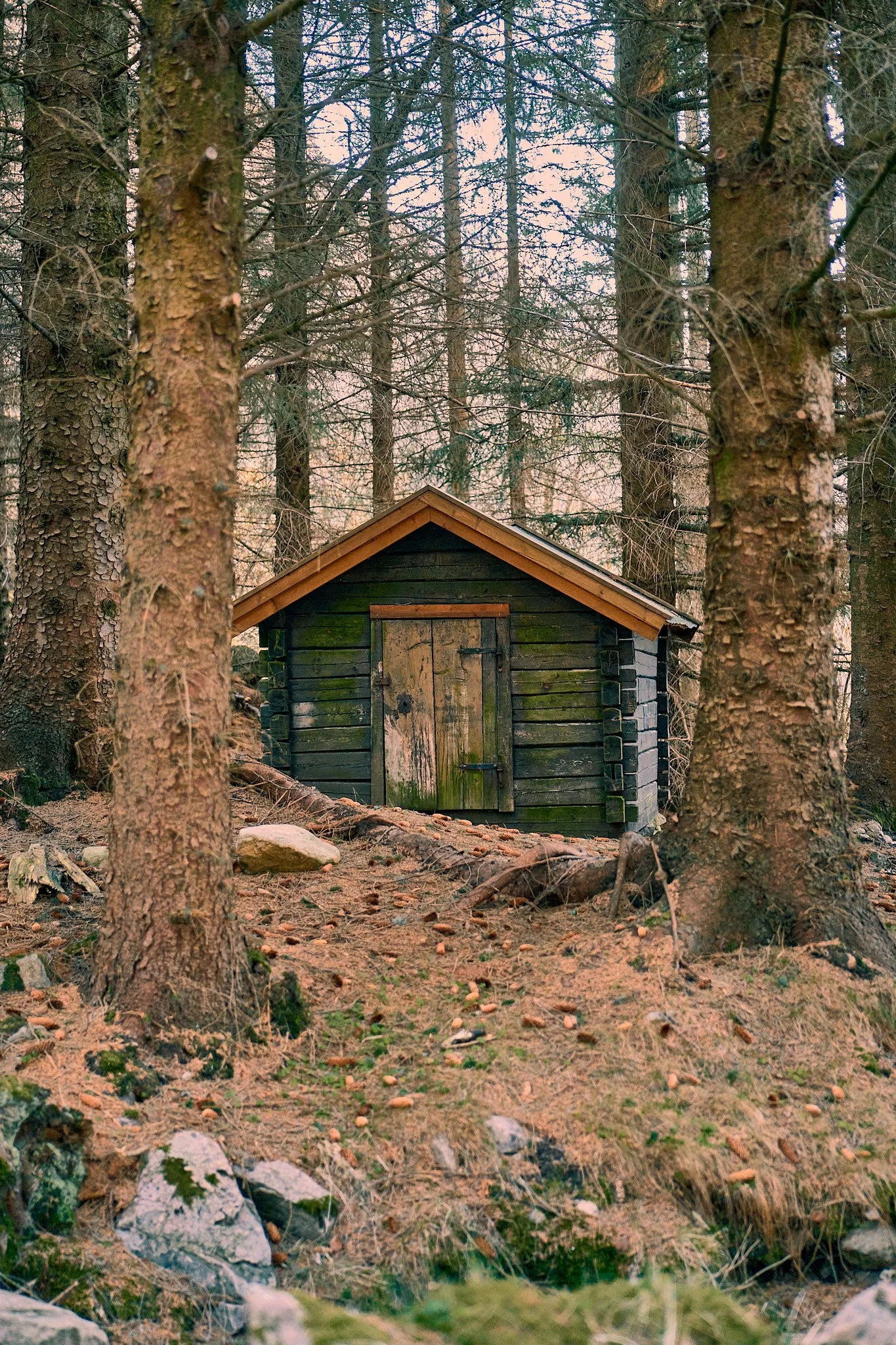 _DSC9373 2048 web.jpg