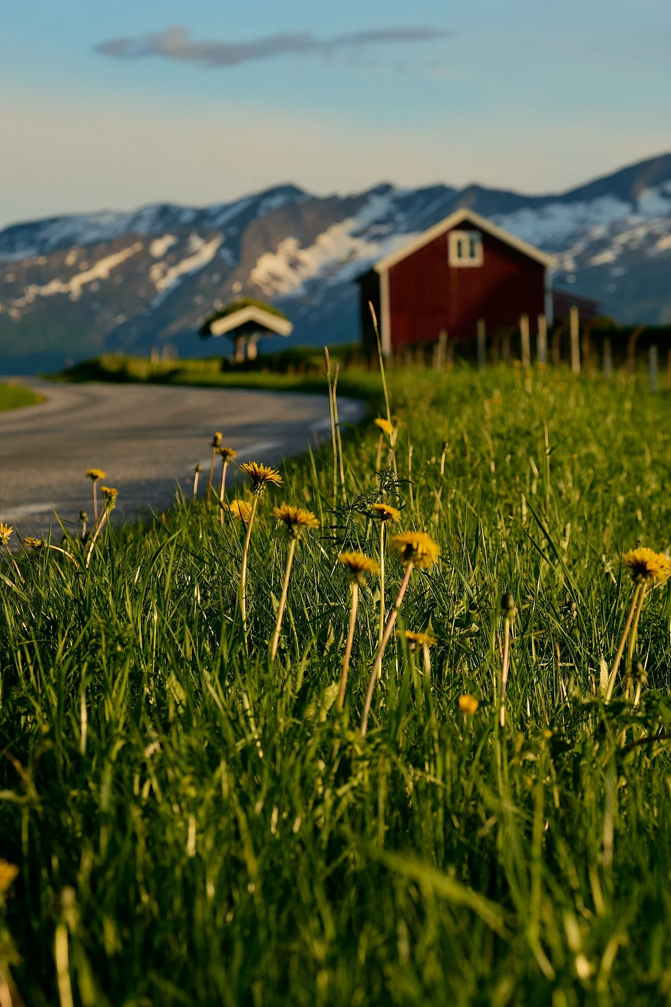 _DSC9987 2048 web.jpg