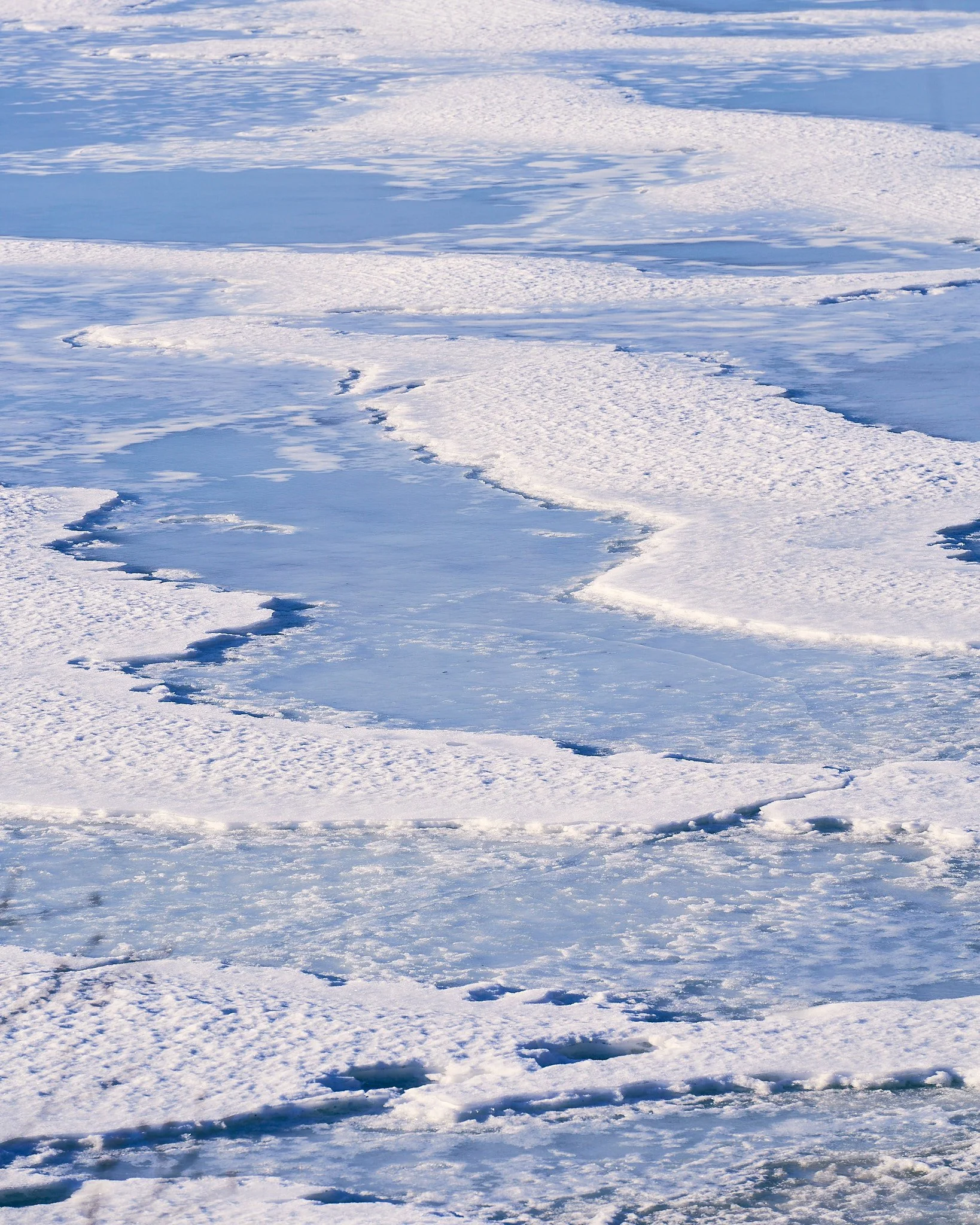 _DSC7411 2048 web.jpg