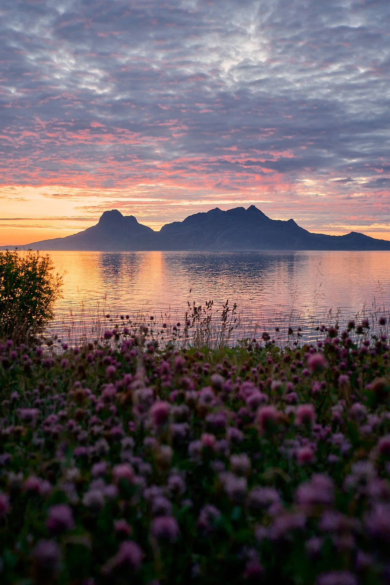 _DSC7597 2048 web.jpg