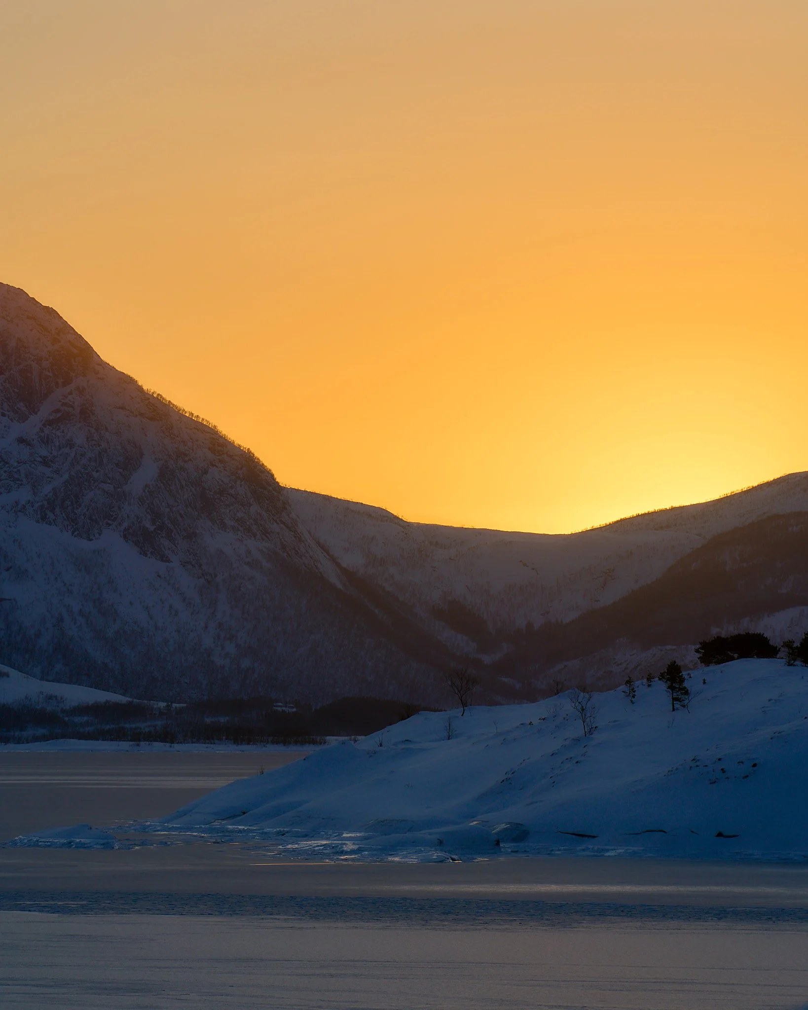 _DSC0238 2048 web.jpg