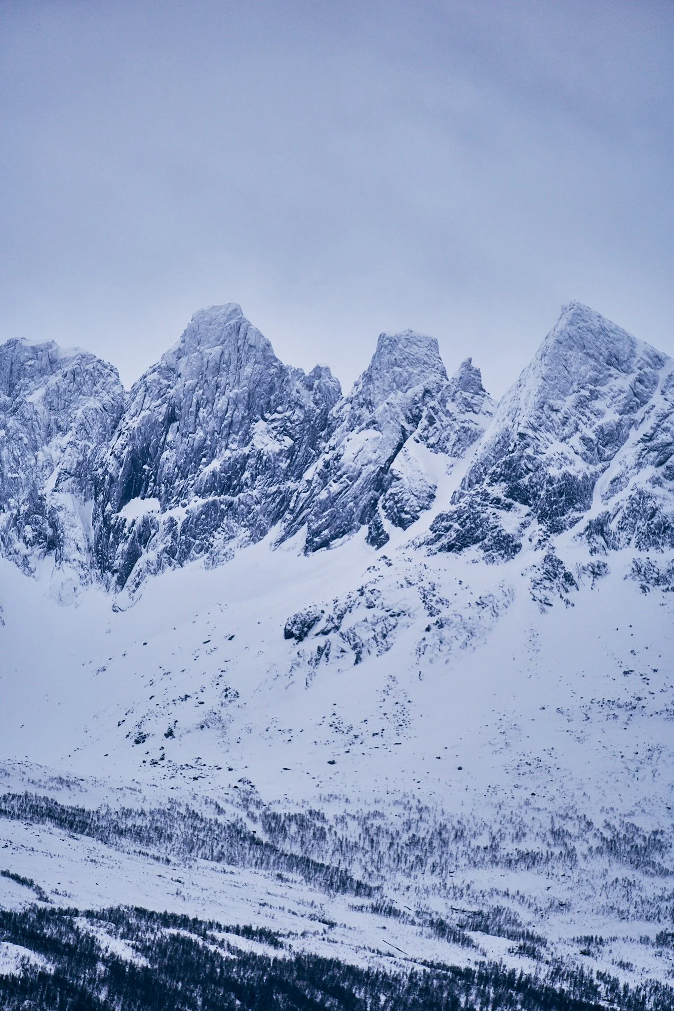 _DSC6278 2048 web.jpg