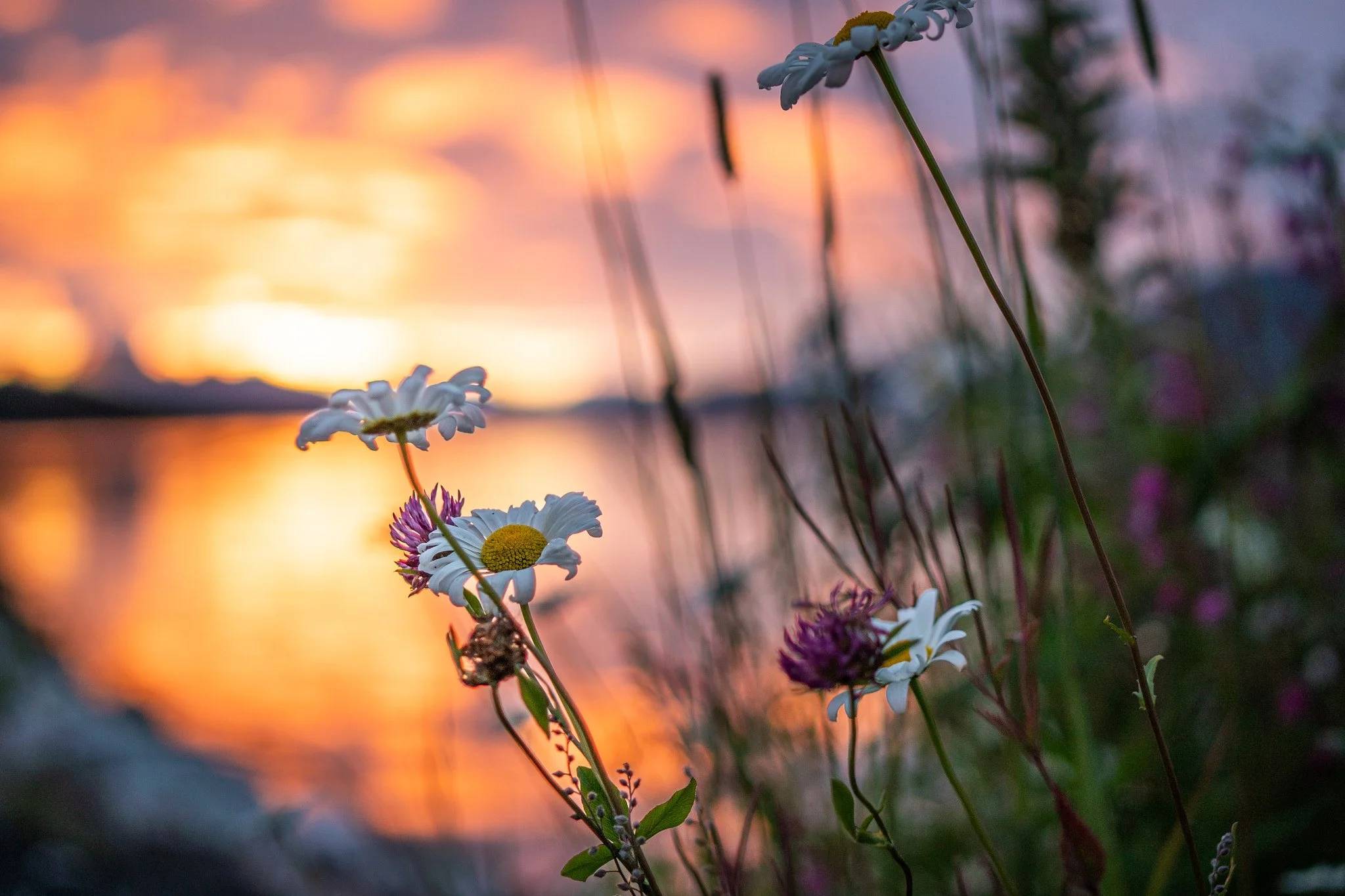 _DSC4042 2048 web.jpg