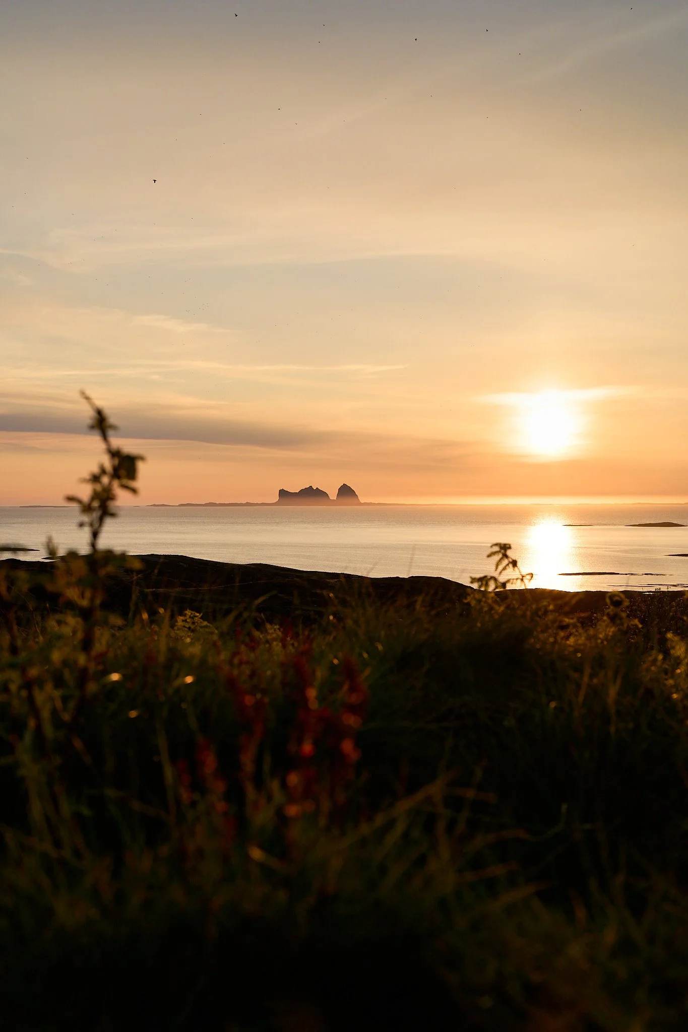 _DSC4875 2048 web.jpg