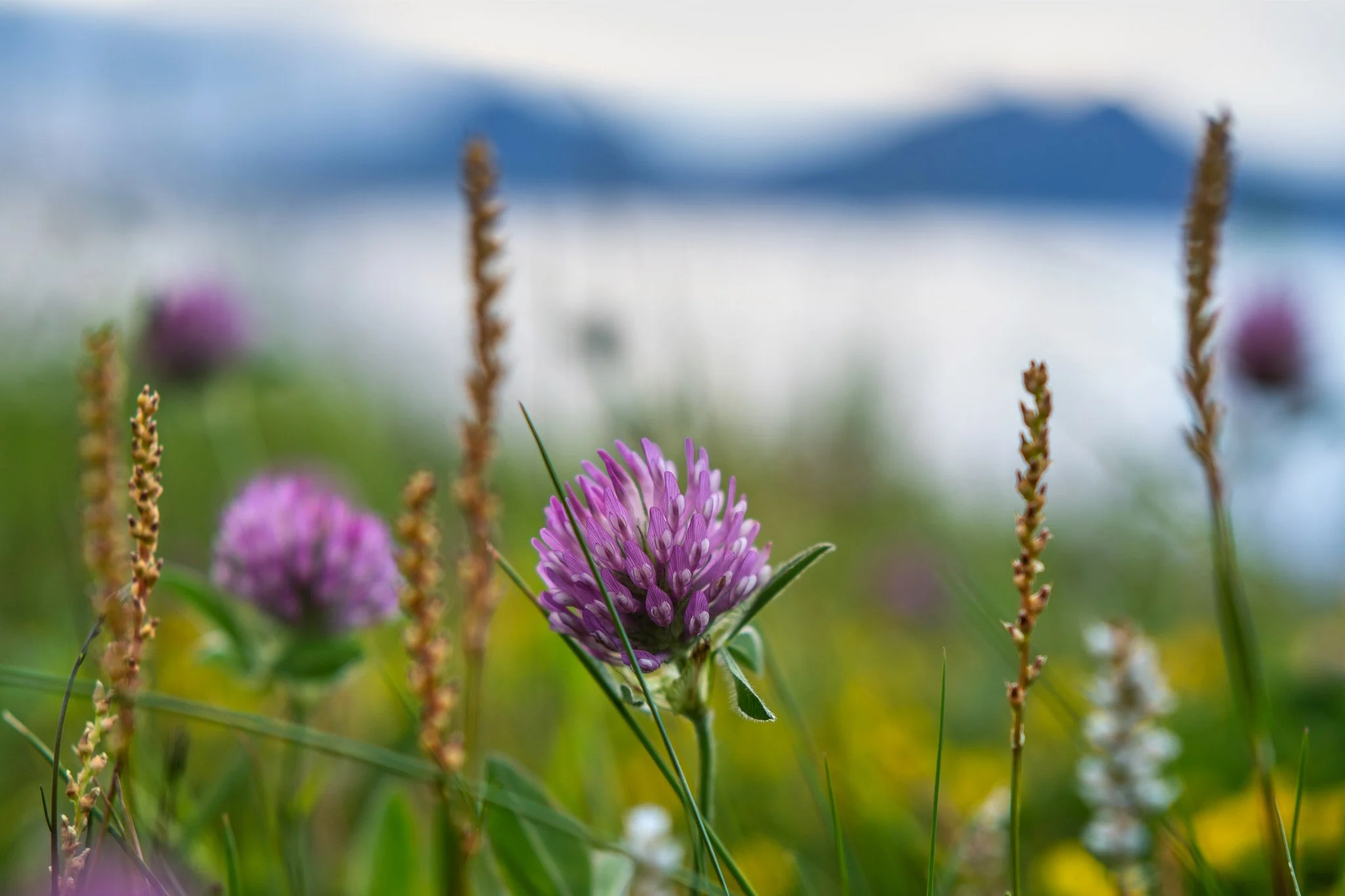 _DSC3801 2048 web.jpg