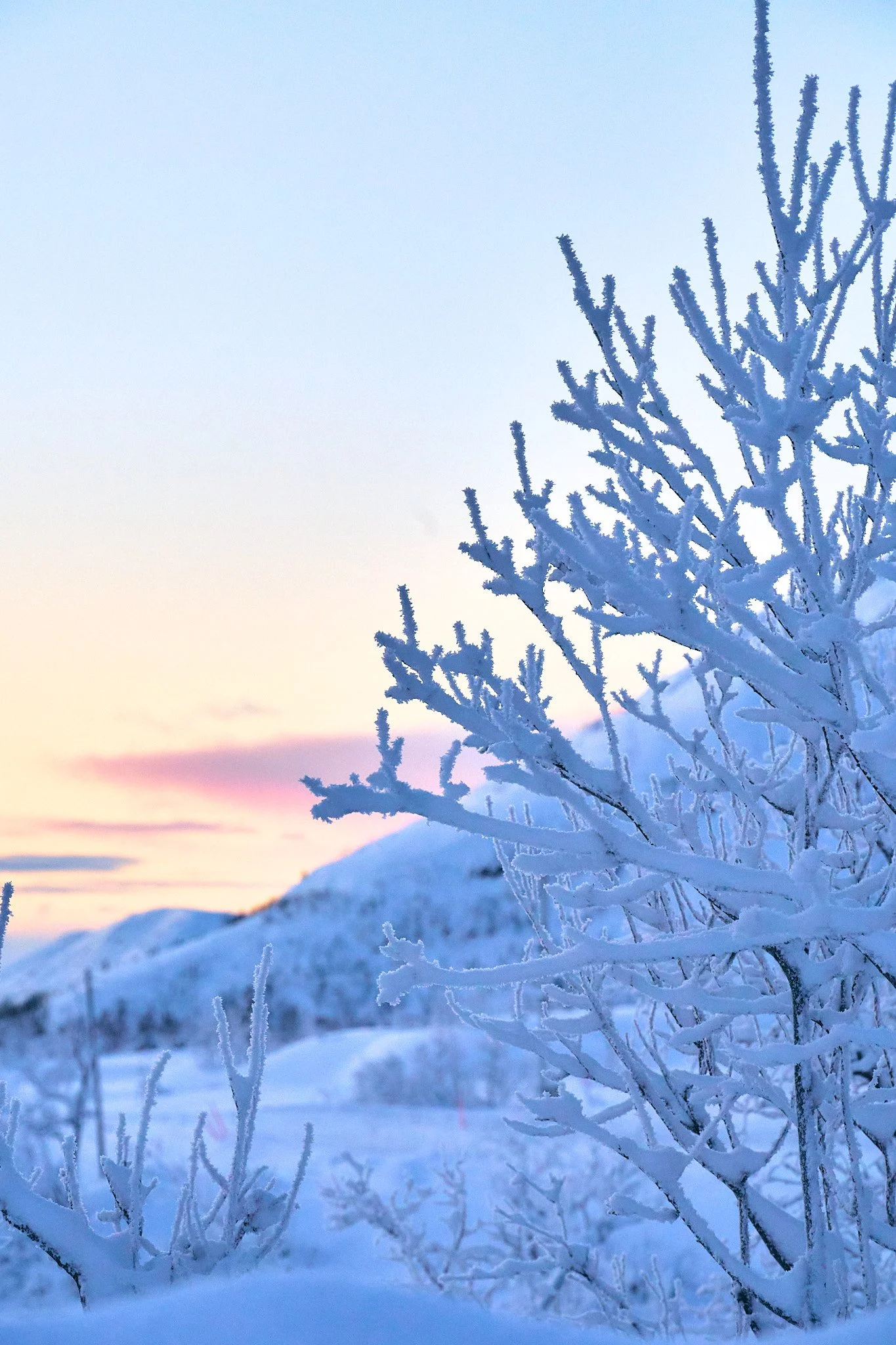 _DSC9241 2048 web 1.jpg