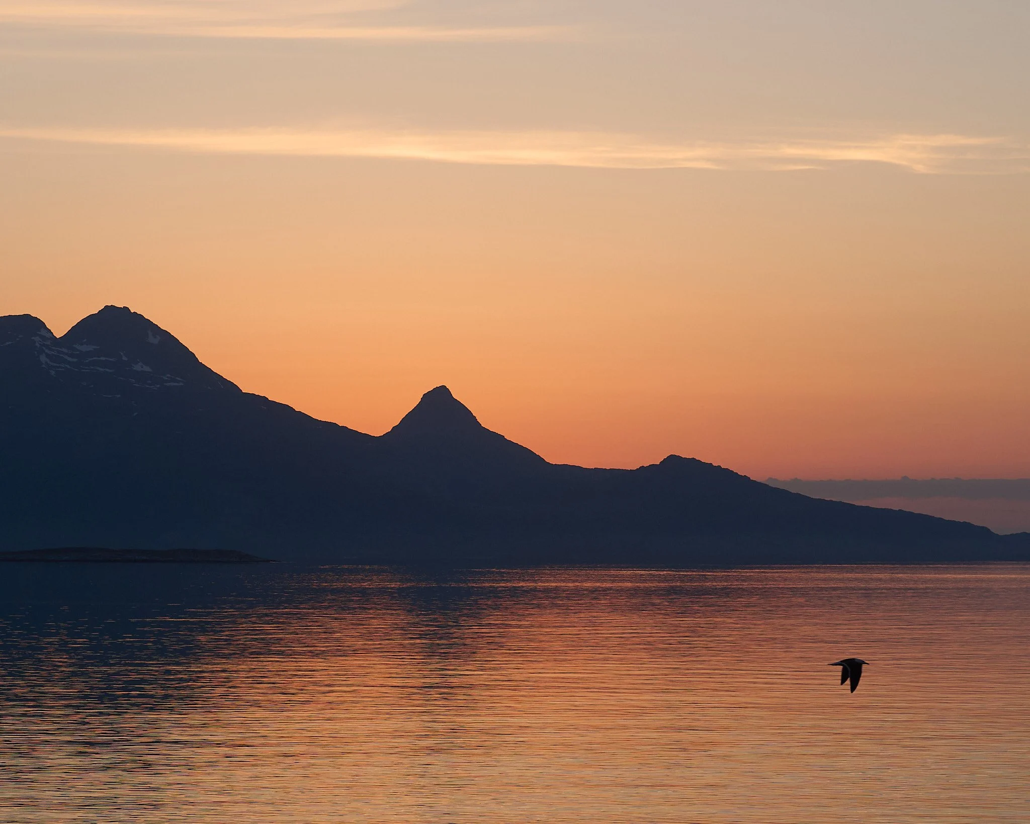 _DSC9914 2048 web.jpg