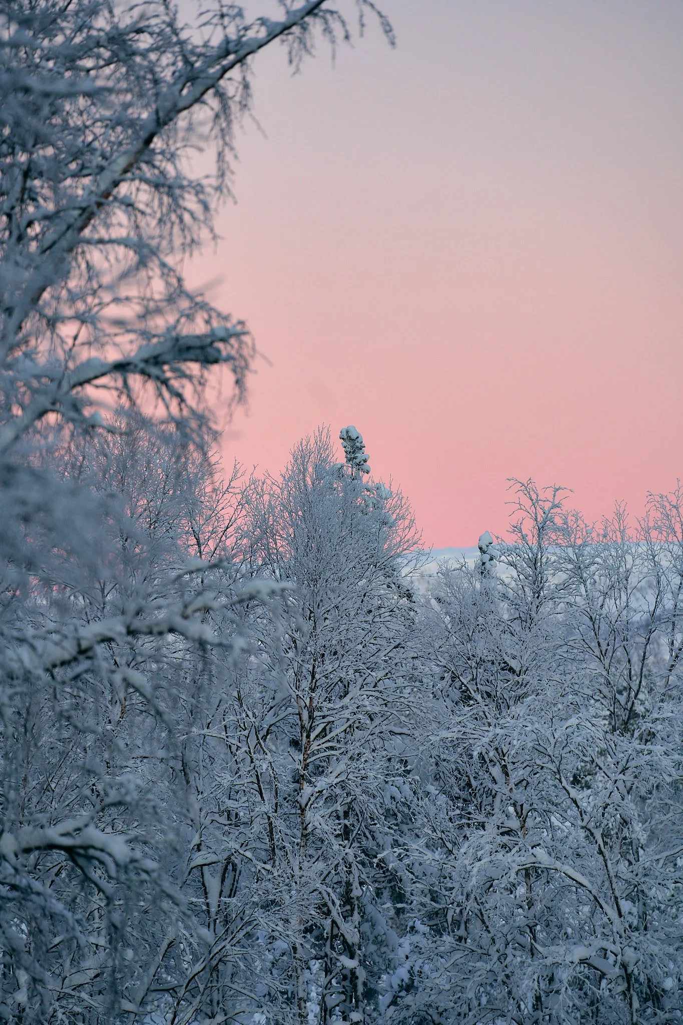 _DSC9389 2048 web.jpg