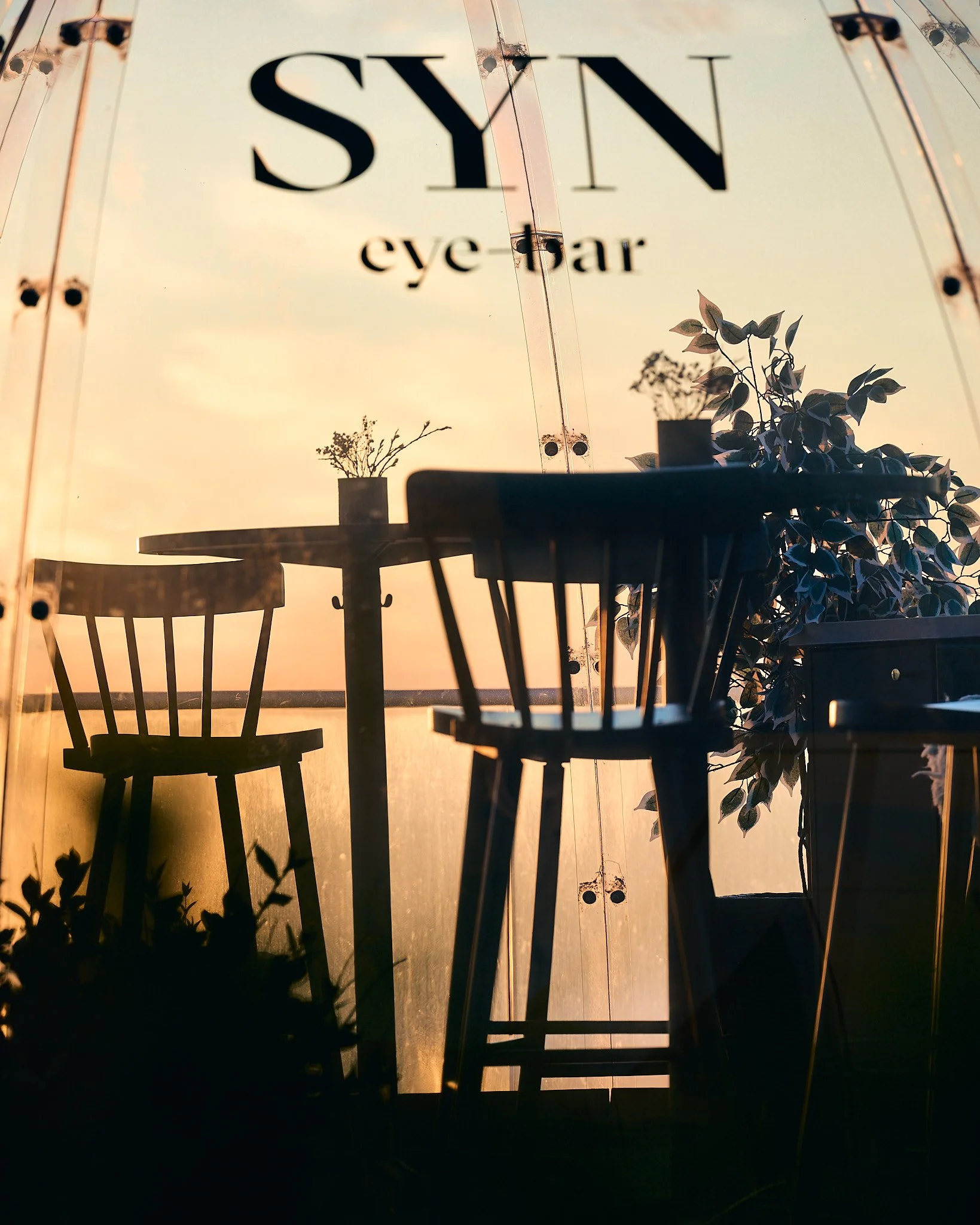 DSC00532 2048 web.jpg