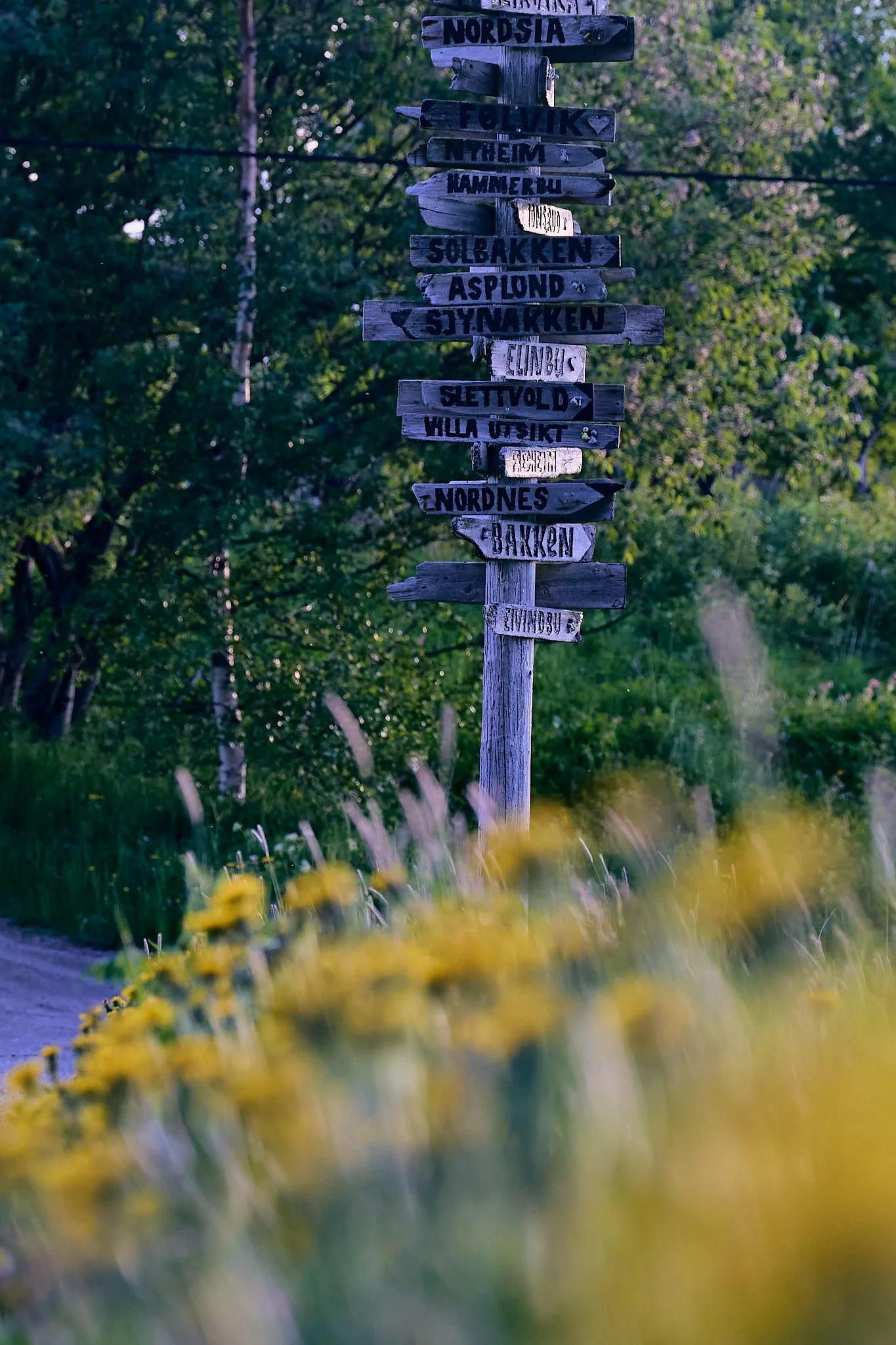 _DSC9997 2048 web.jpg