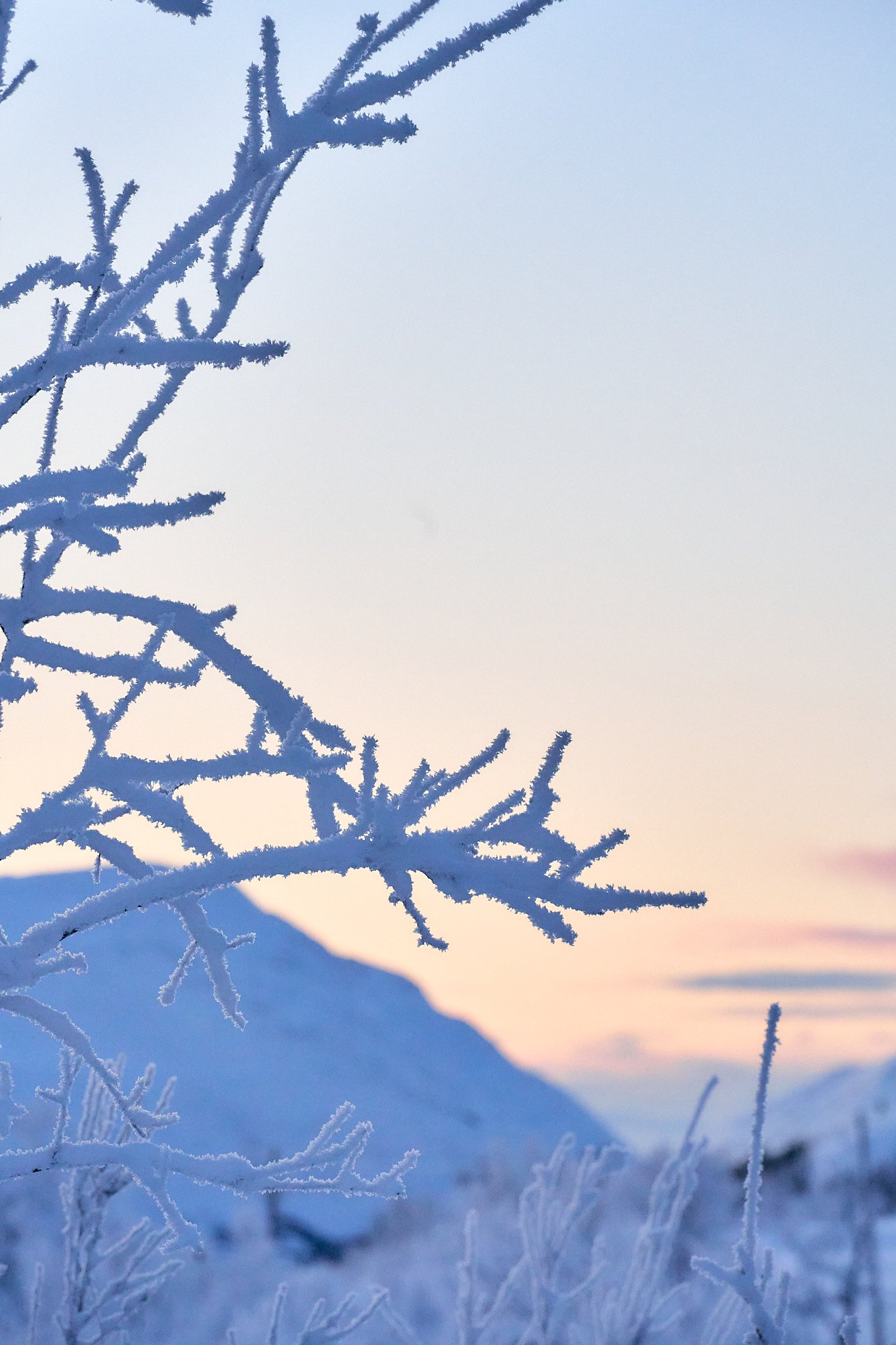 _DSC9243 2048 web.jpg