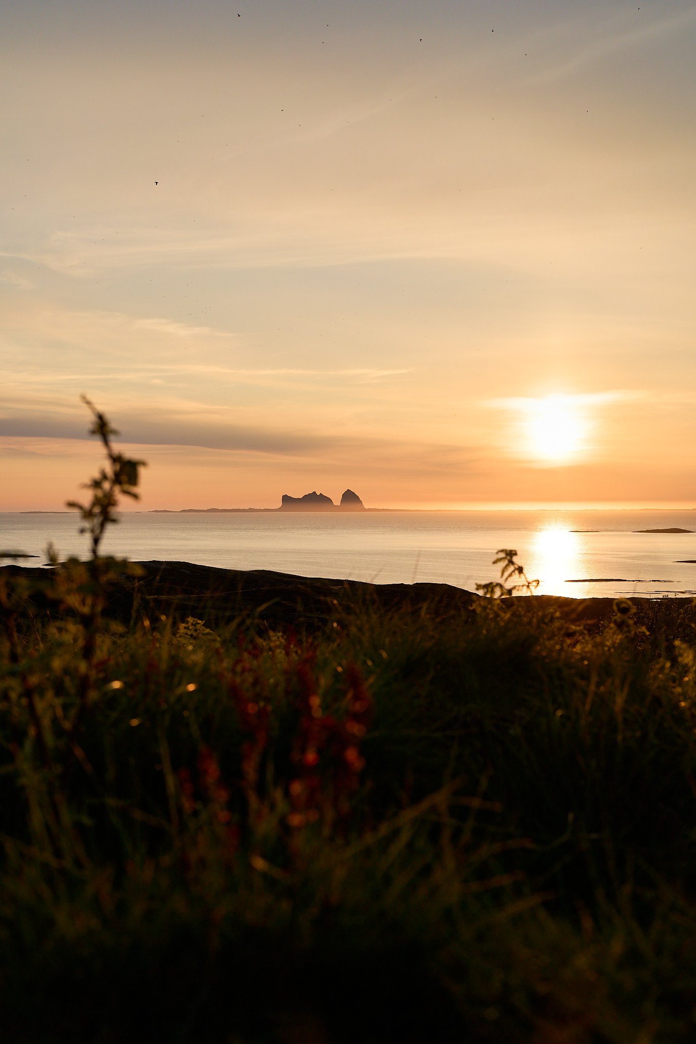 _DSC4875 2048 web.jpg