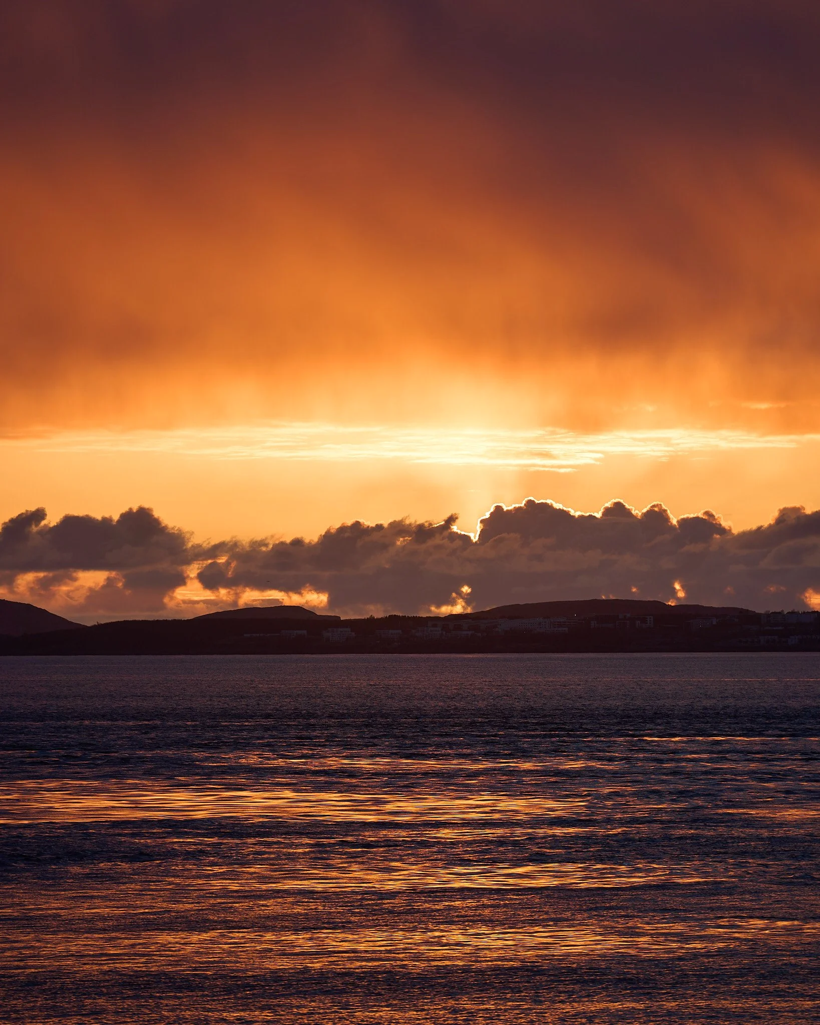 _DSC7944 2048 web.jpg