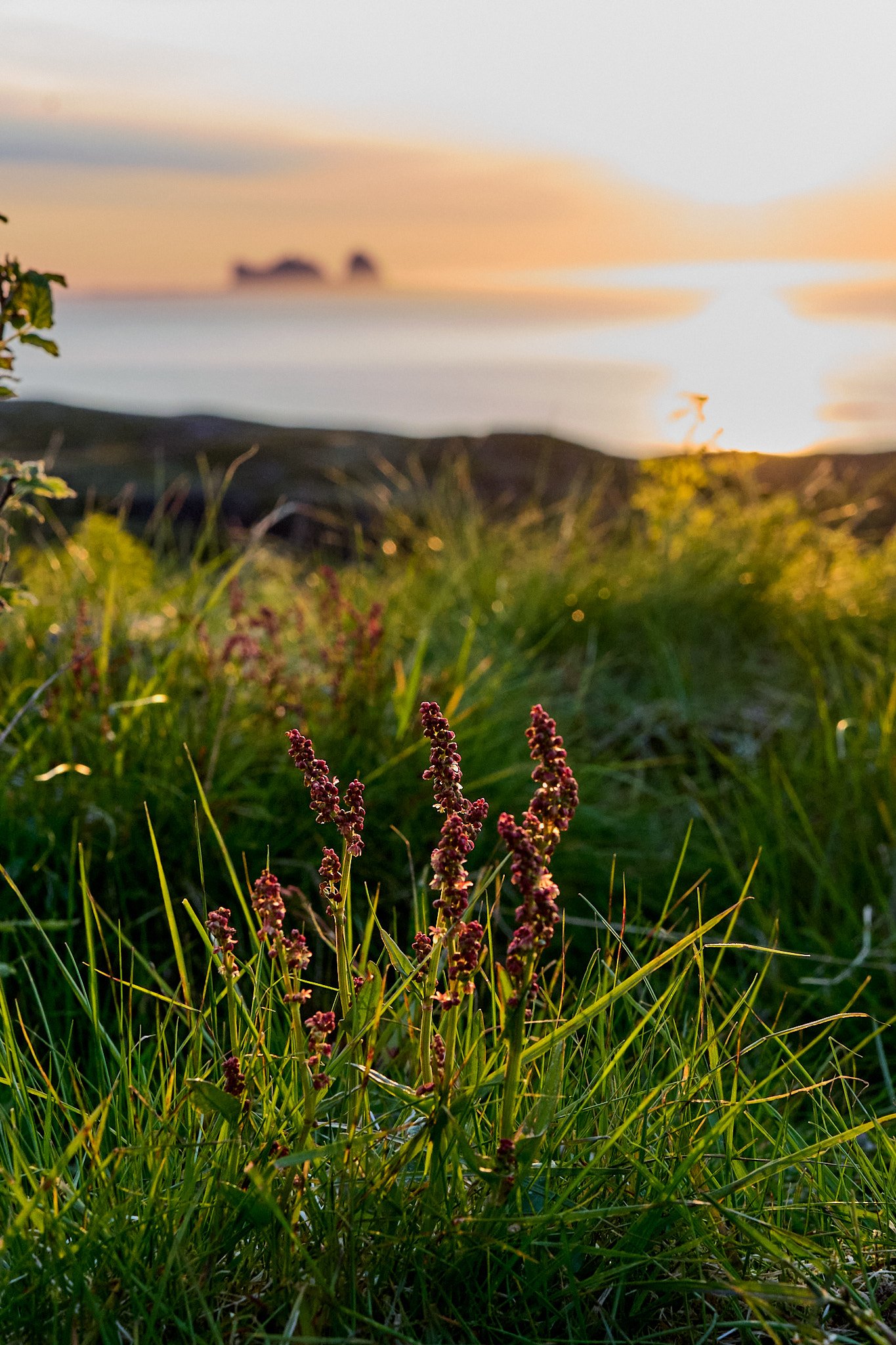 _DSC4871 2048 web.jpg