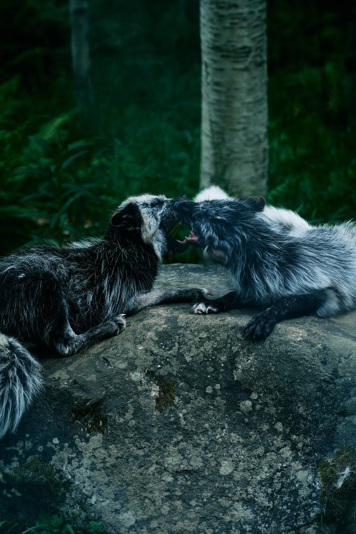 DSC01381 2048 web.jpg