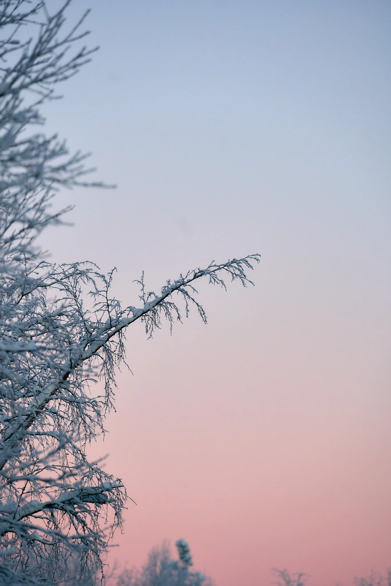 _DSC9388 2048 web.jpg