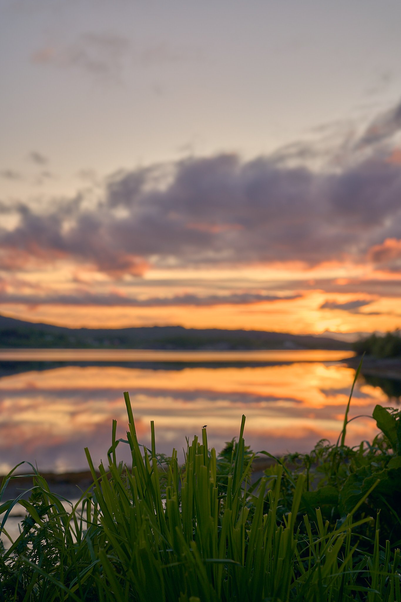 _DSC2612 2048 web.jpg