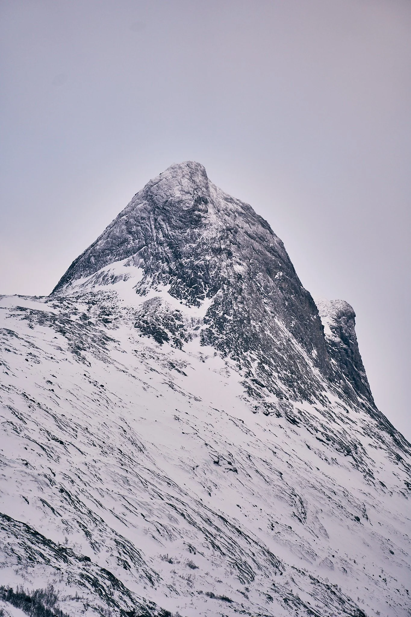 _DSC6256 2048 web.jpg