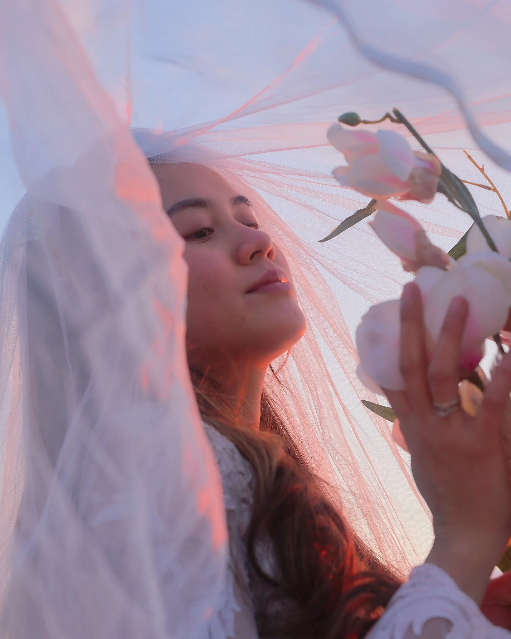 _DSC9525 2048 web.jpg