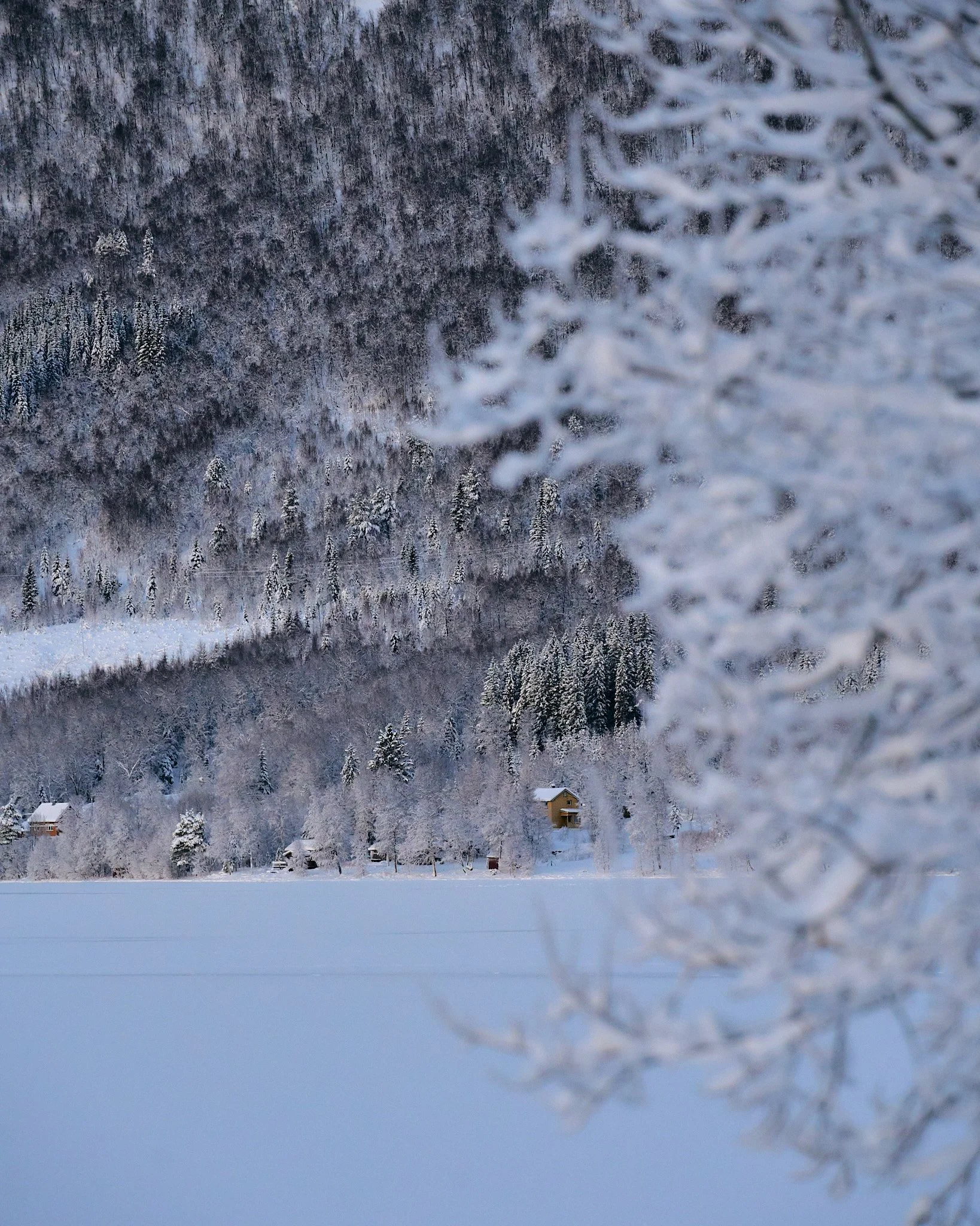 DSC09552 2048 web.jpg