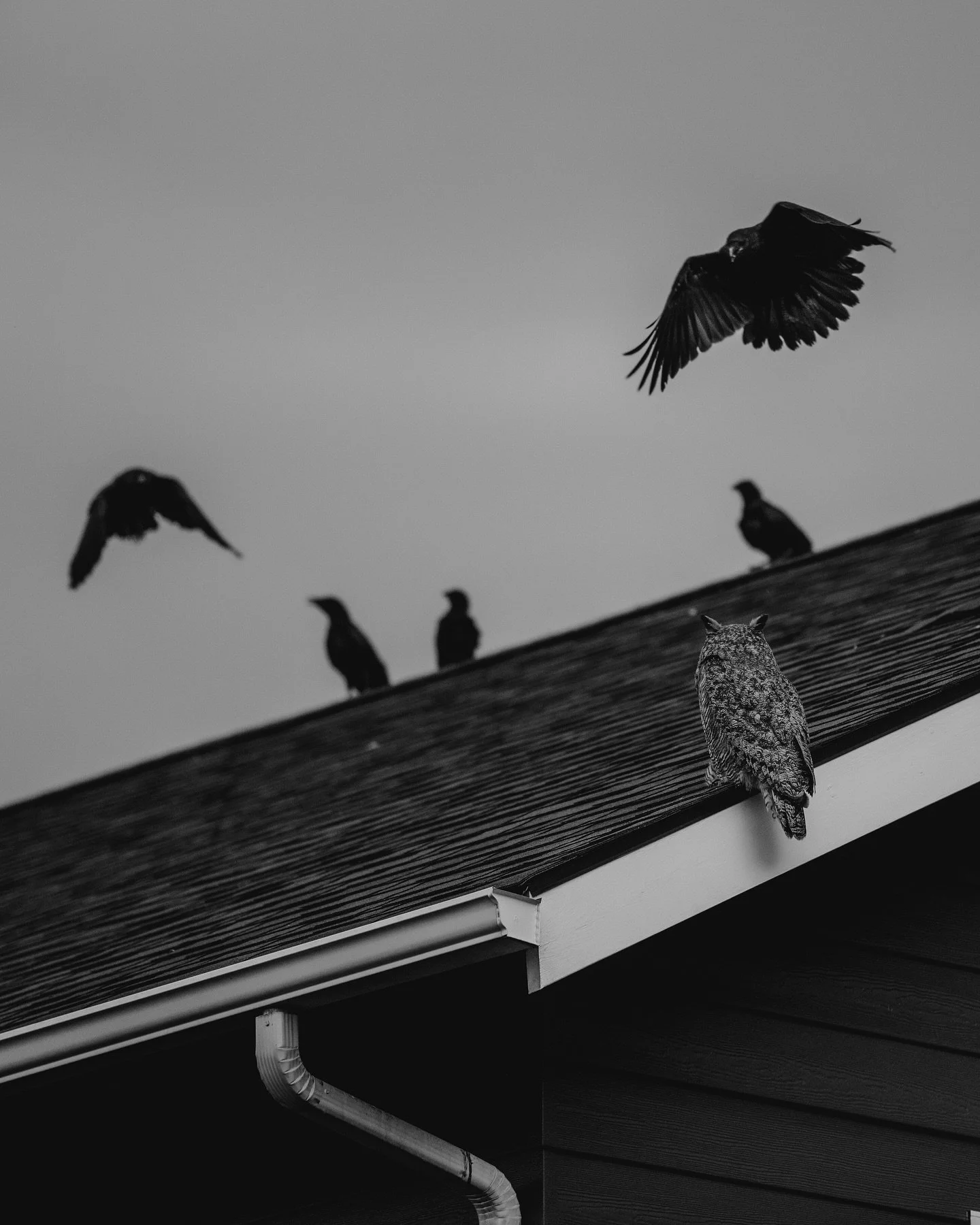 The Visitor Returns. 2025. 
And, The Visitor. 2020.