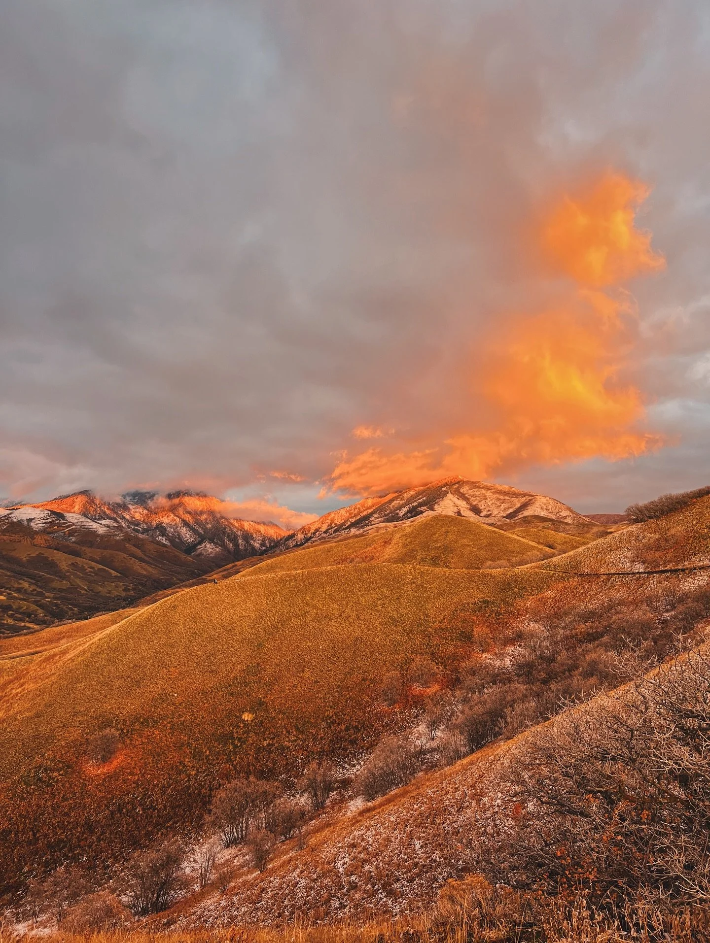 Recently. 🫀
Me too, Poppi. Me too.