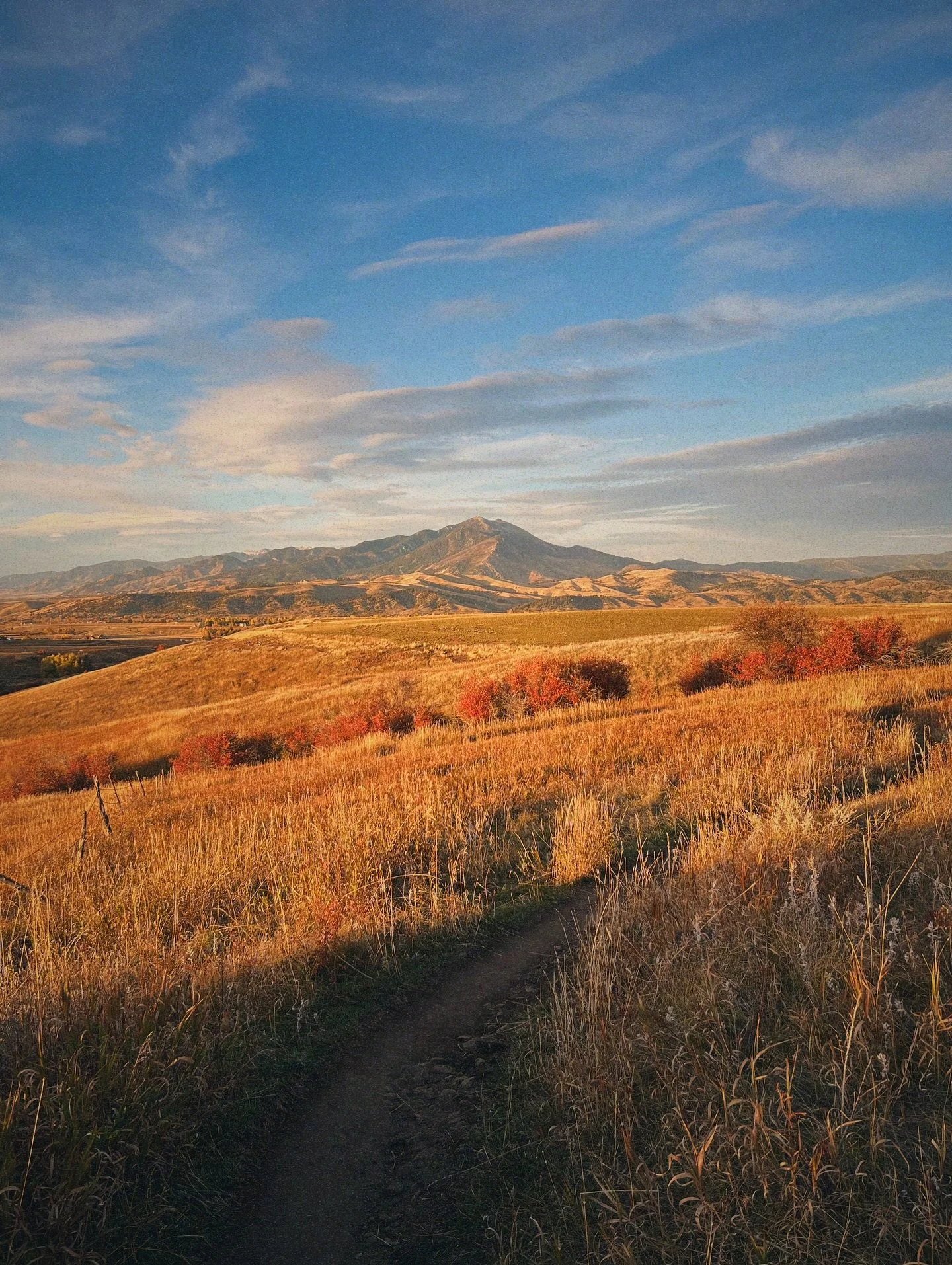 Work as hard as you can to be able to share it. - @rickrubin 

🫀