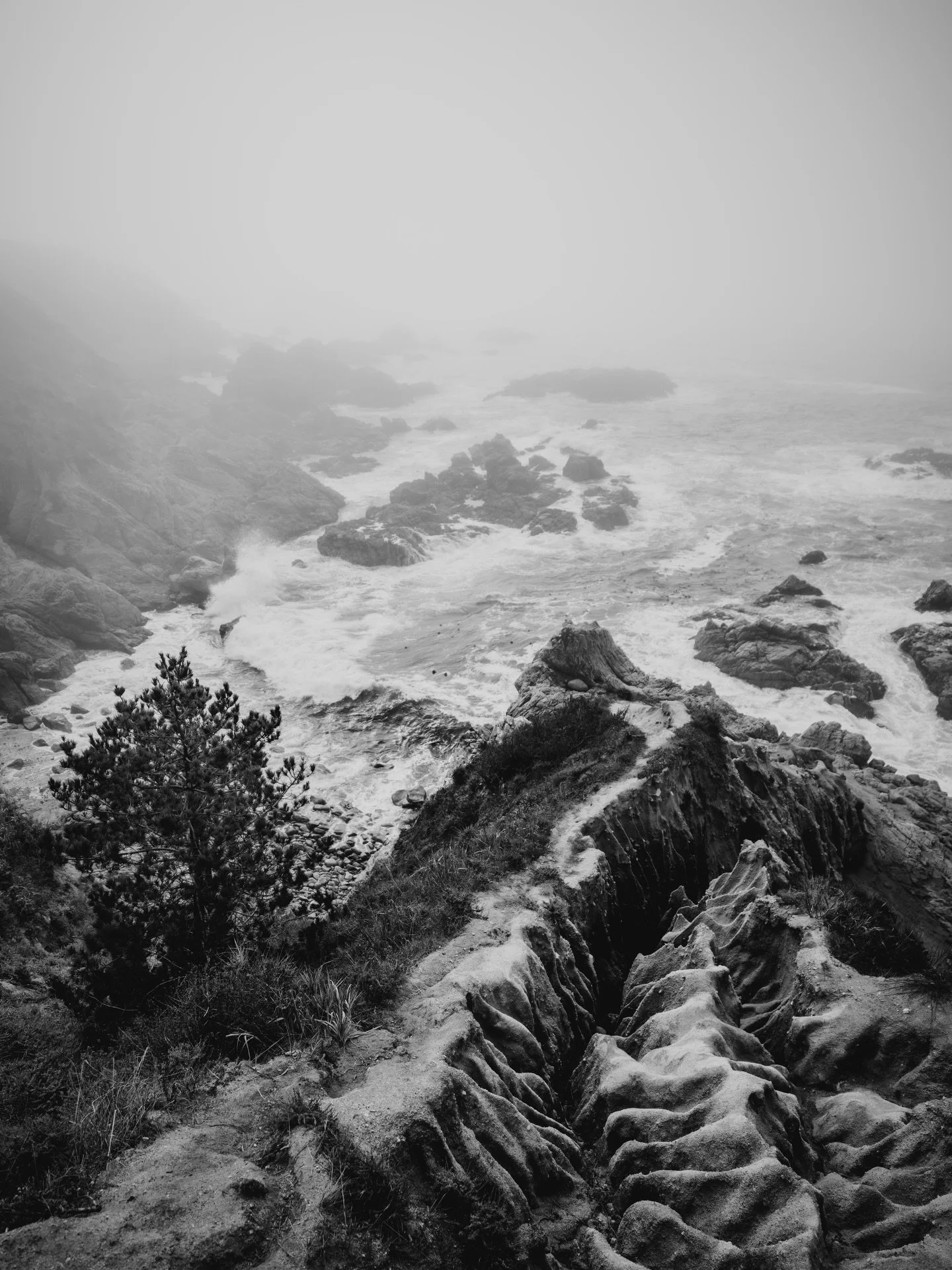 &ldquo;When you collect marine animals there are certain flat worms so delicate that they are almost impossible to catch whole for they will break and tatter under the touch. You must let them ooze and crawl of their own will onto a knife blade and l