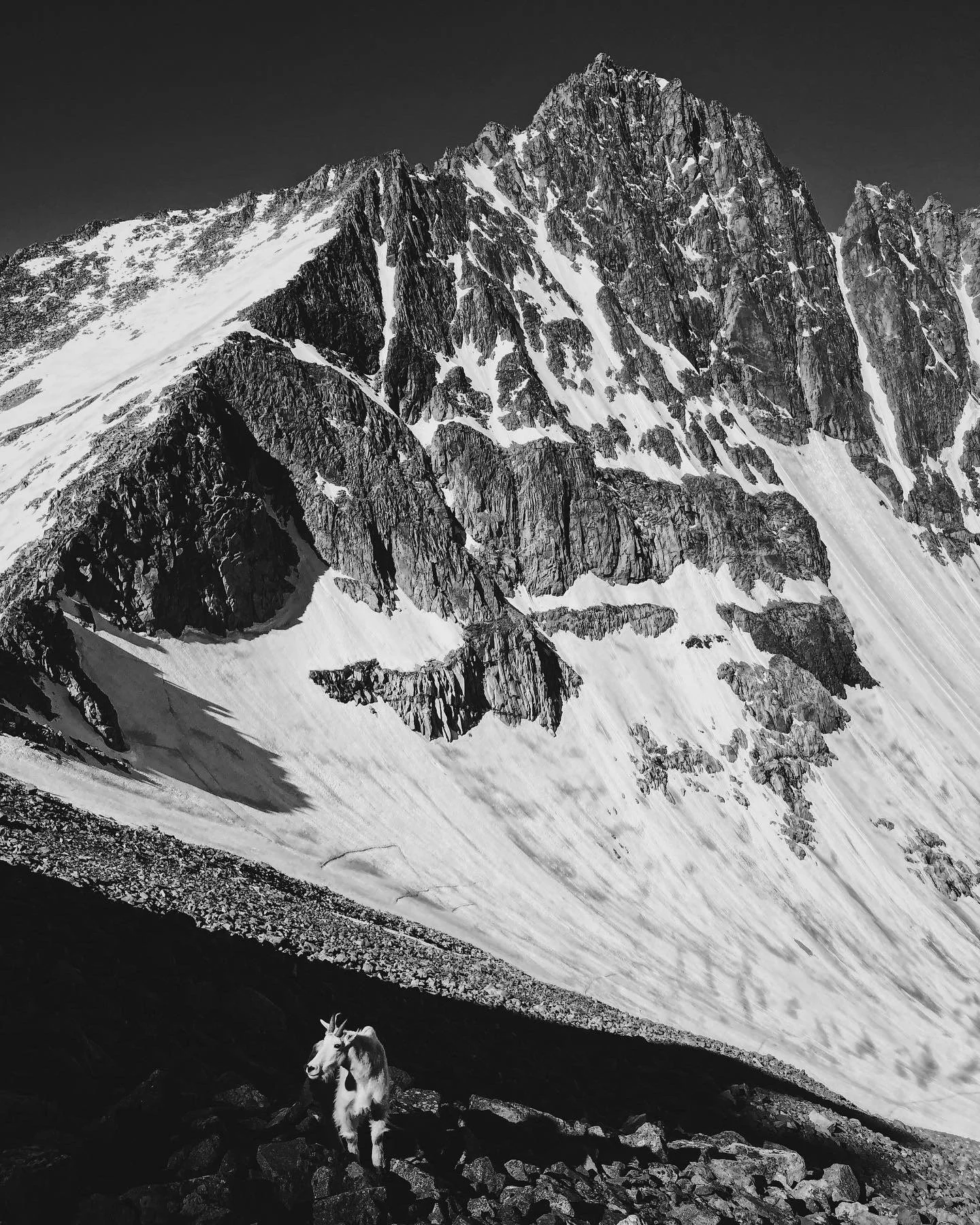 I am grateful for every iteration of family I have ever known. I am also grateful to learn Mark was a Hoka Narwhal too (last slide) (minus the Hoka&rsquo;s). 

It has taken me time to love and rejoice with the life I have without Trav. But I have got