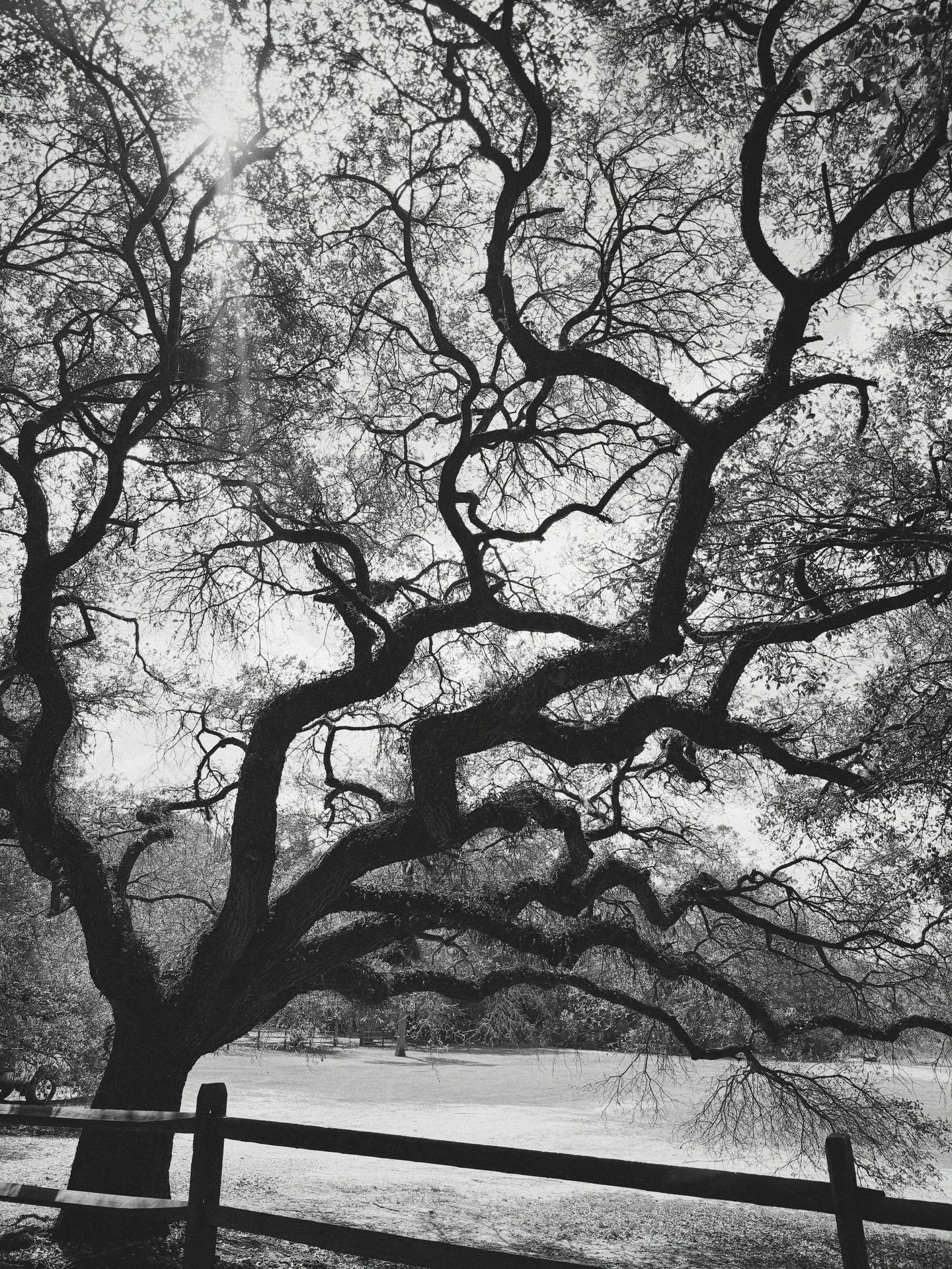 Recently. 🫀 Mobile, Alabama. Pensacola, Florida. Tucson, Arizona. Couldn&rsquo;t be more grateful to get to travel this country meeting, witnessing, and documenting runners and athletes. 

I wanna do a Winter Training camp from now on in Tucson visi