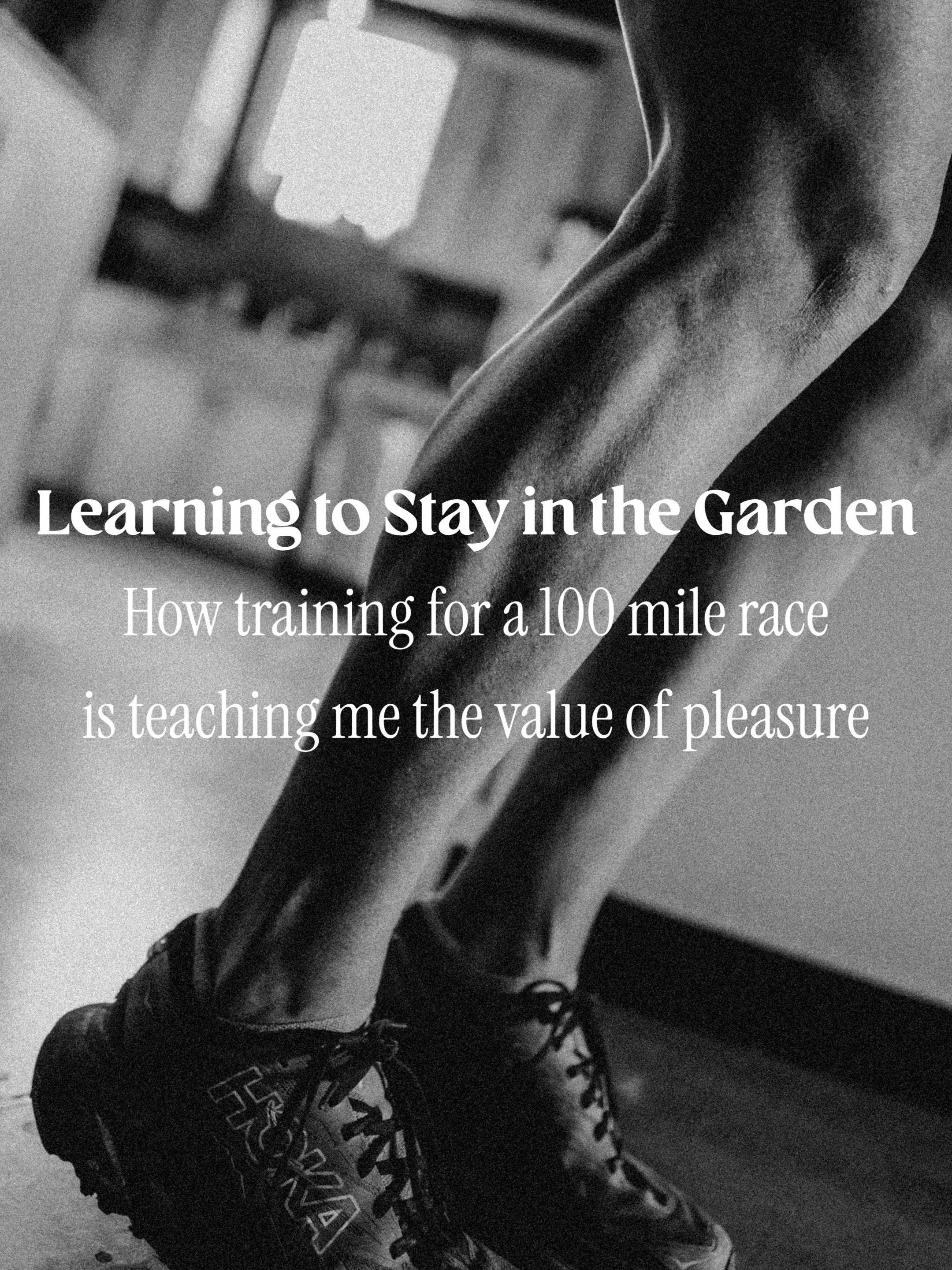 My mantra lately, &ldquo;Stay in your garden.&rdquo;

When I run I am not making anyone else happy. That&rsquo;s the story I tell. It&rsquo;s just me and the trees. And, Kate. And, Kelsey and Meesh and and and a list of strong women. Strong men too. 