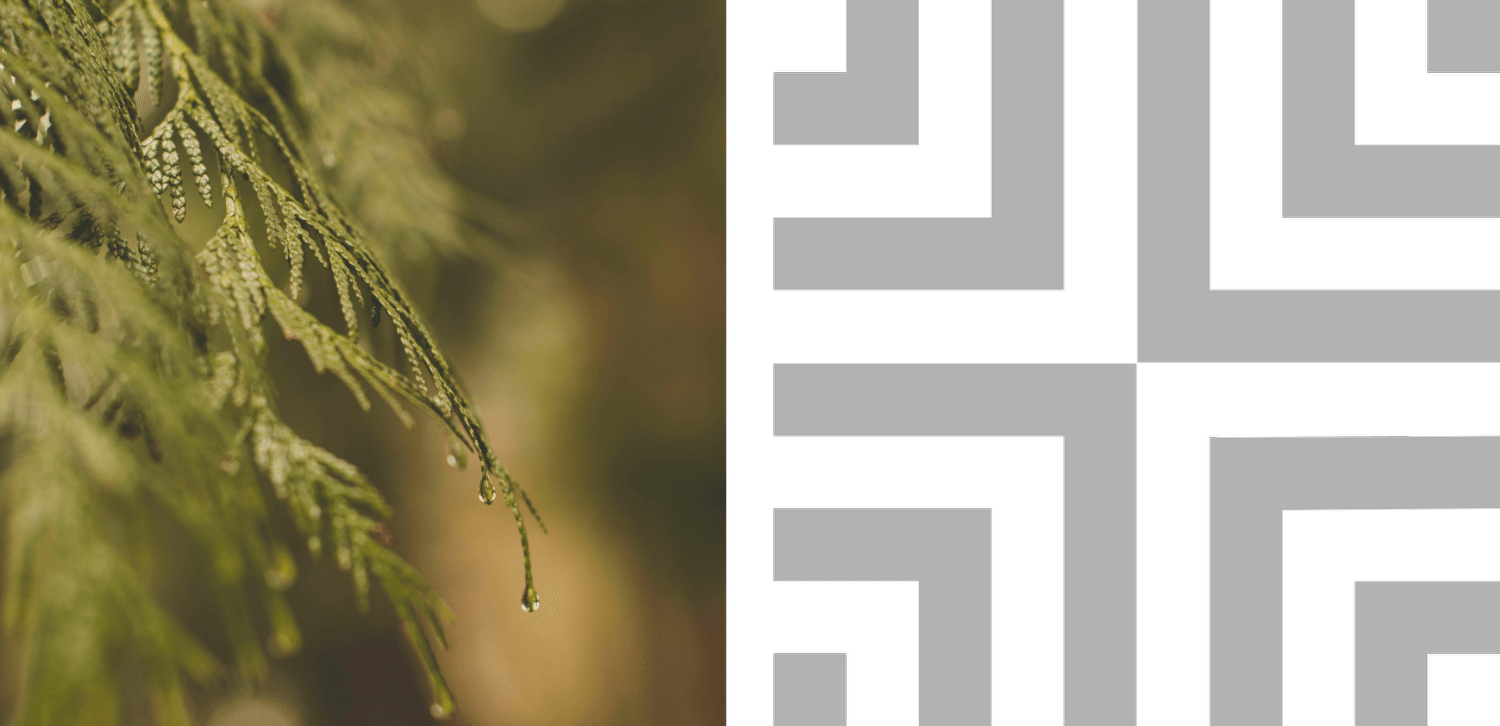 The Building Collective