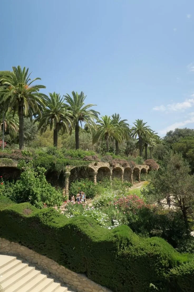 Embark barcelona the art of slowing down greenery and trees and flowers