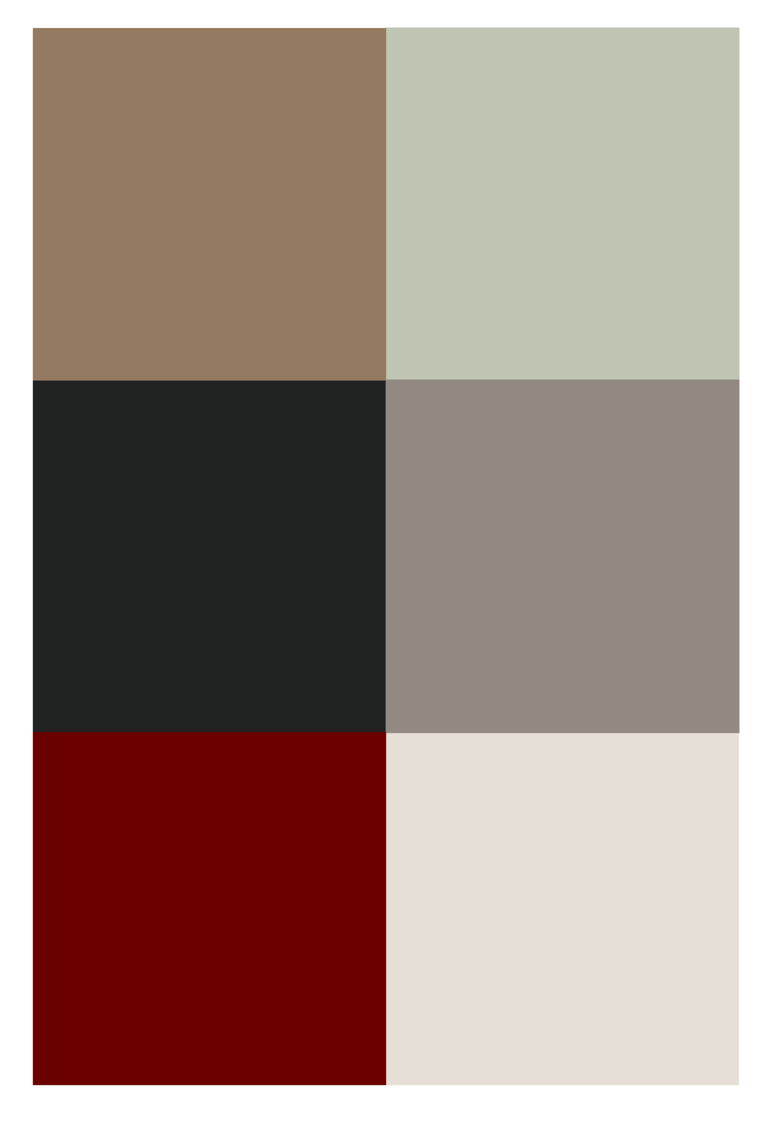 Studio Thomas coming soon no. 067 color palette