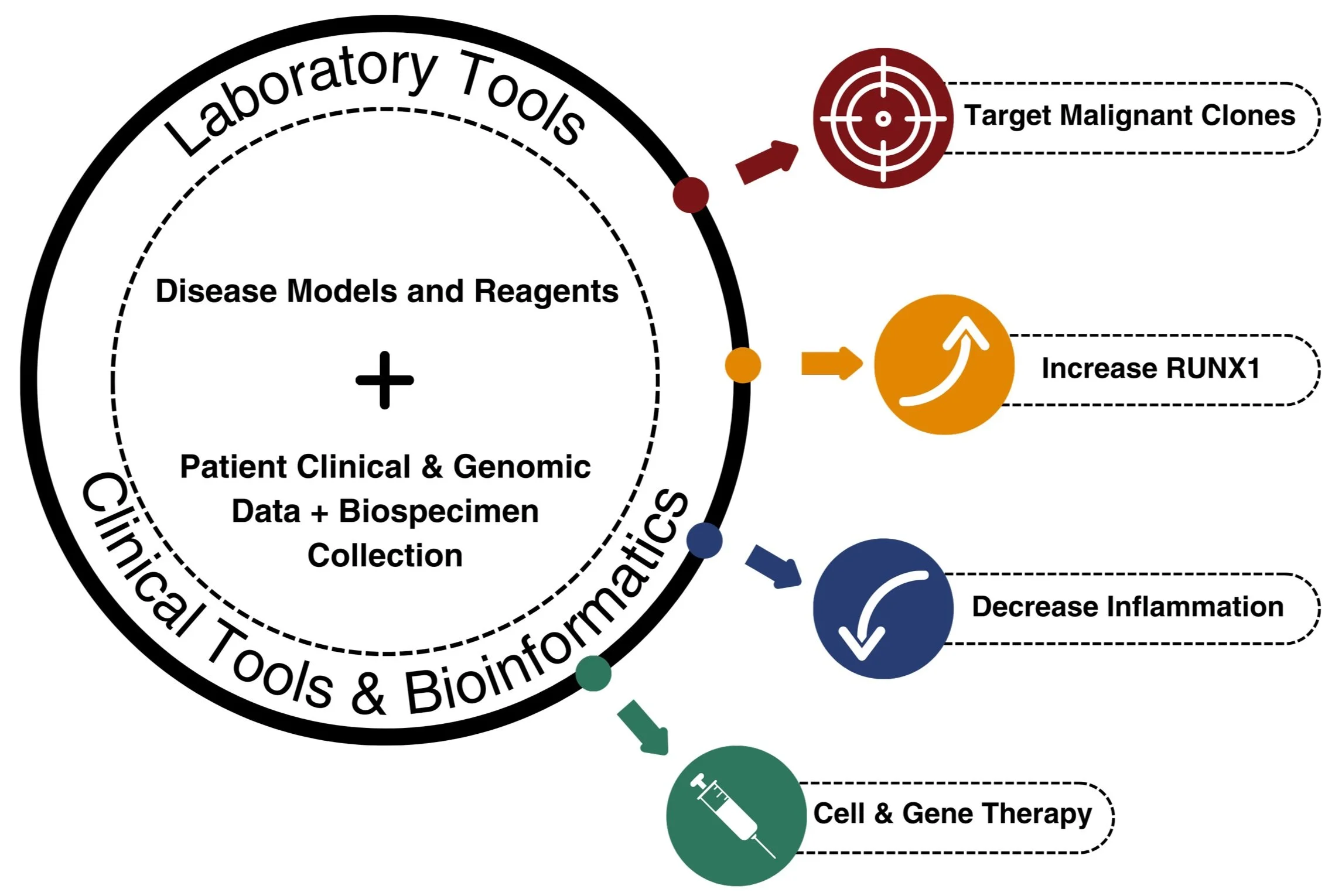 RUNX1 Research Program