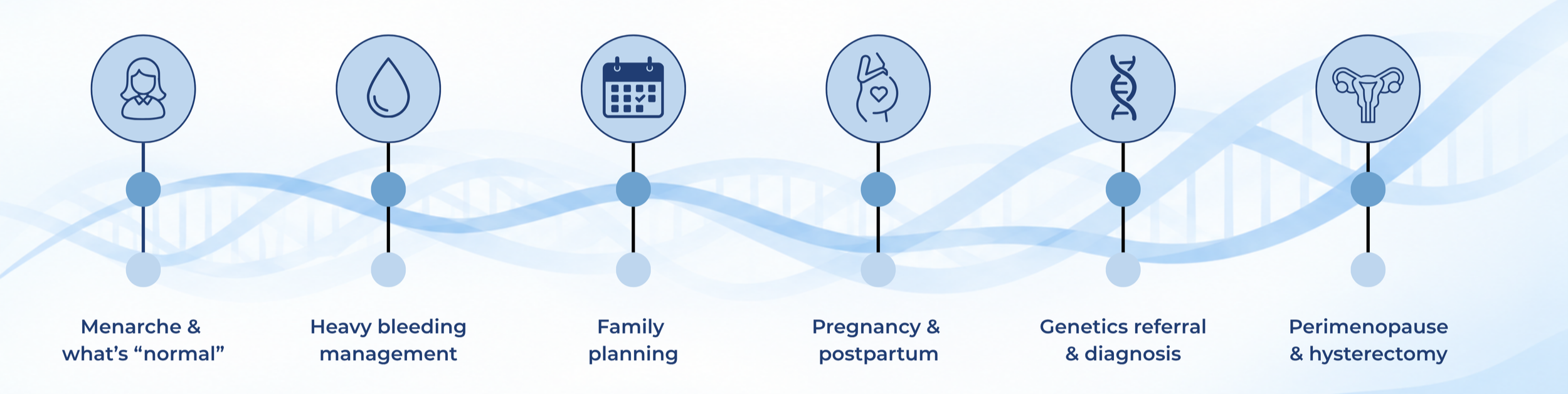 A timeline of a woman's reproductive years into menopause