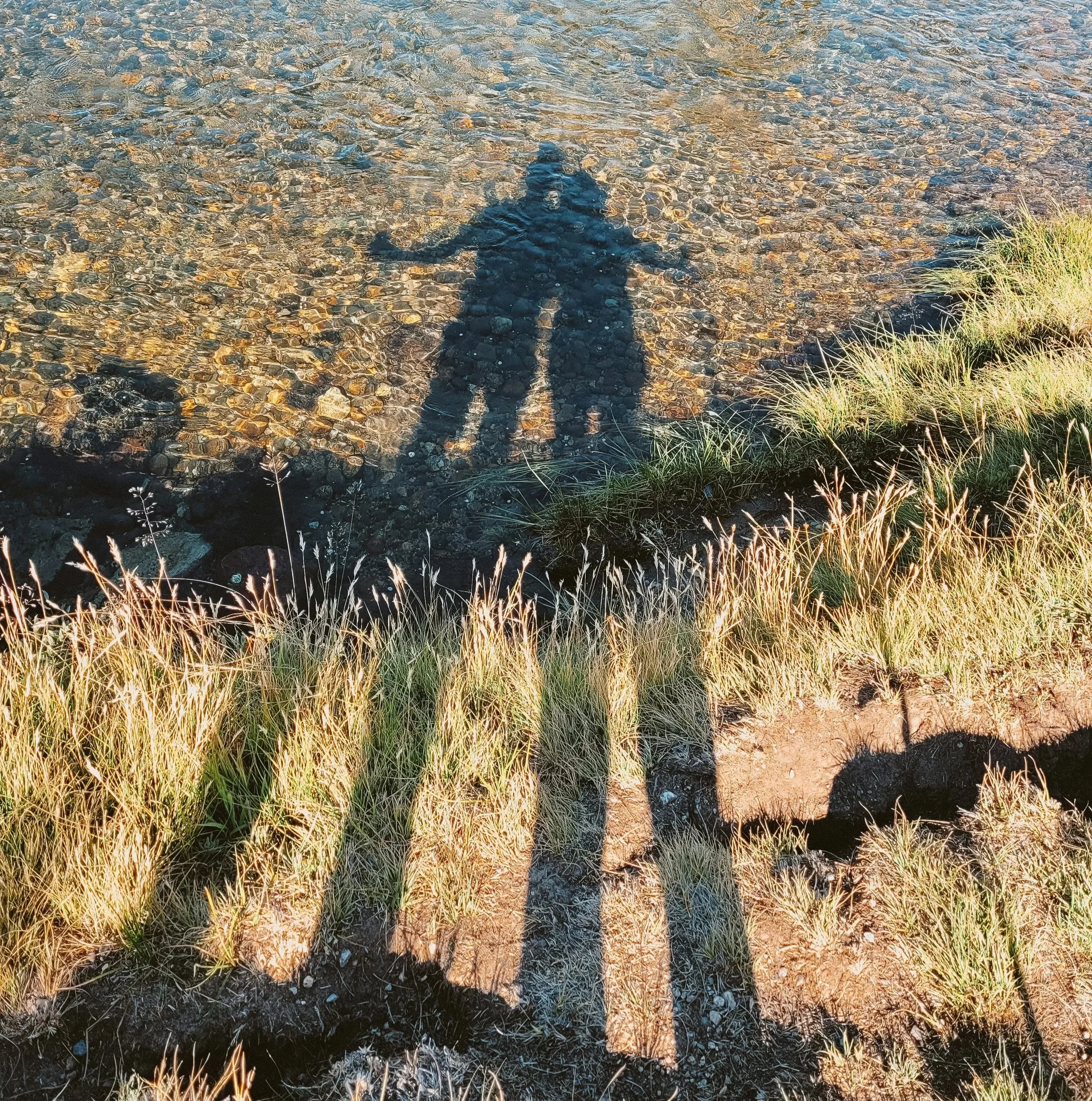 Shadows of hikers near a pond