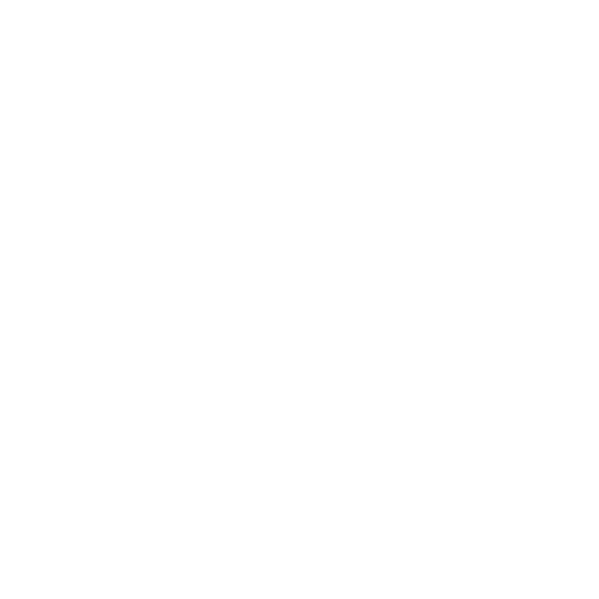 TikTok Link