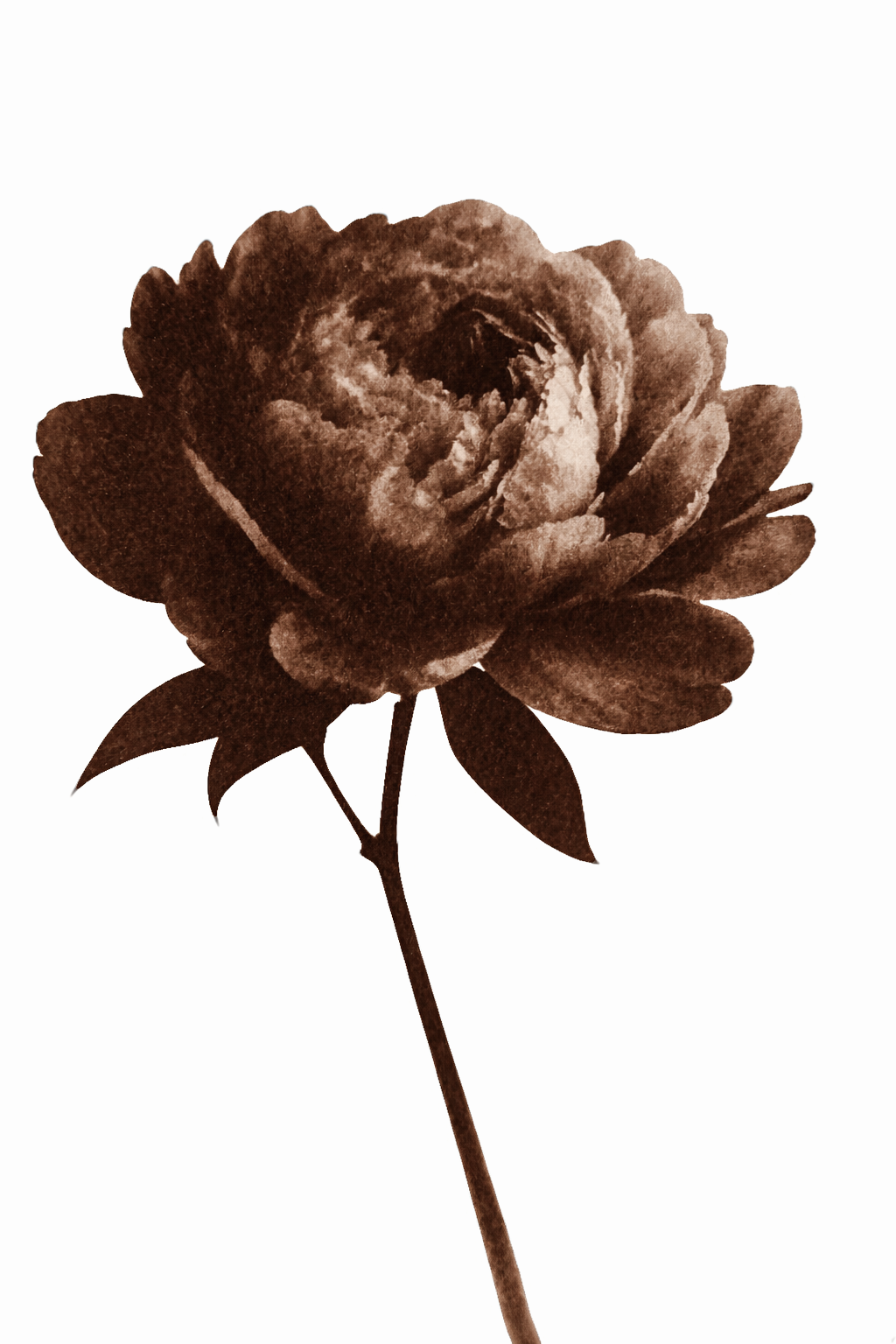01621301-f5e3-4df6-8ee6-794fcc84536d-1_all_16851.png