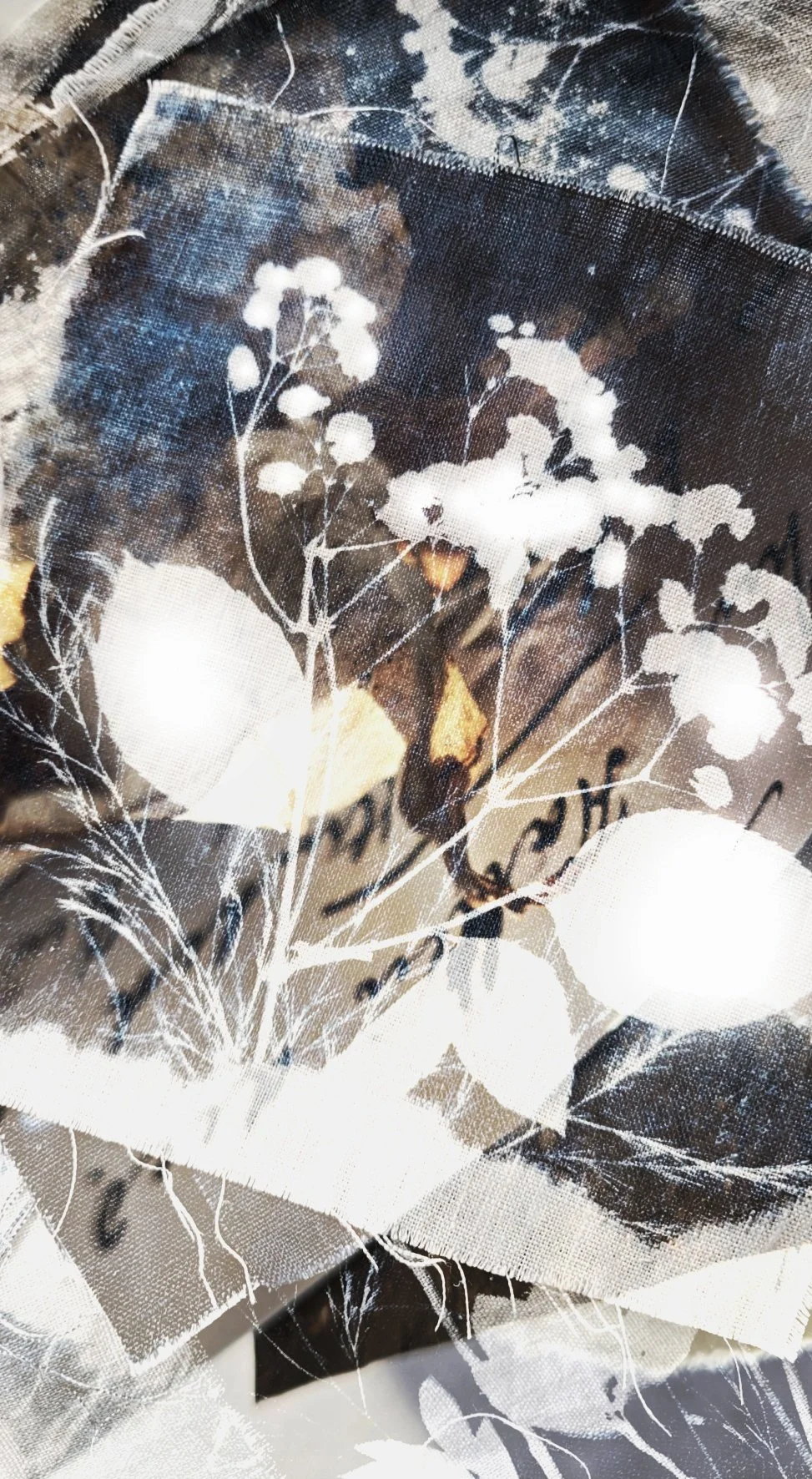 Cyanotype and botanical ink print