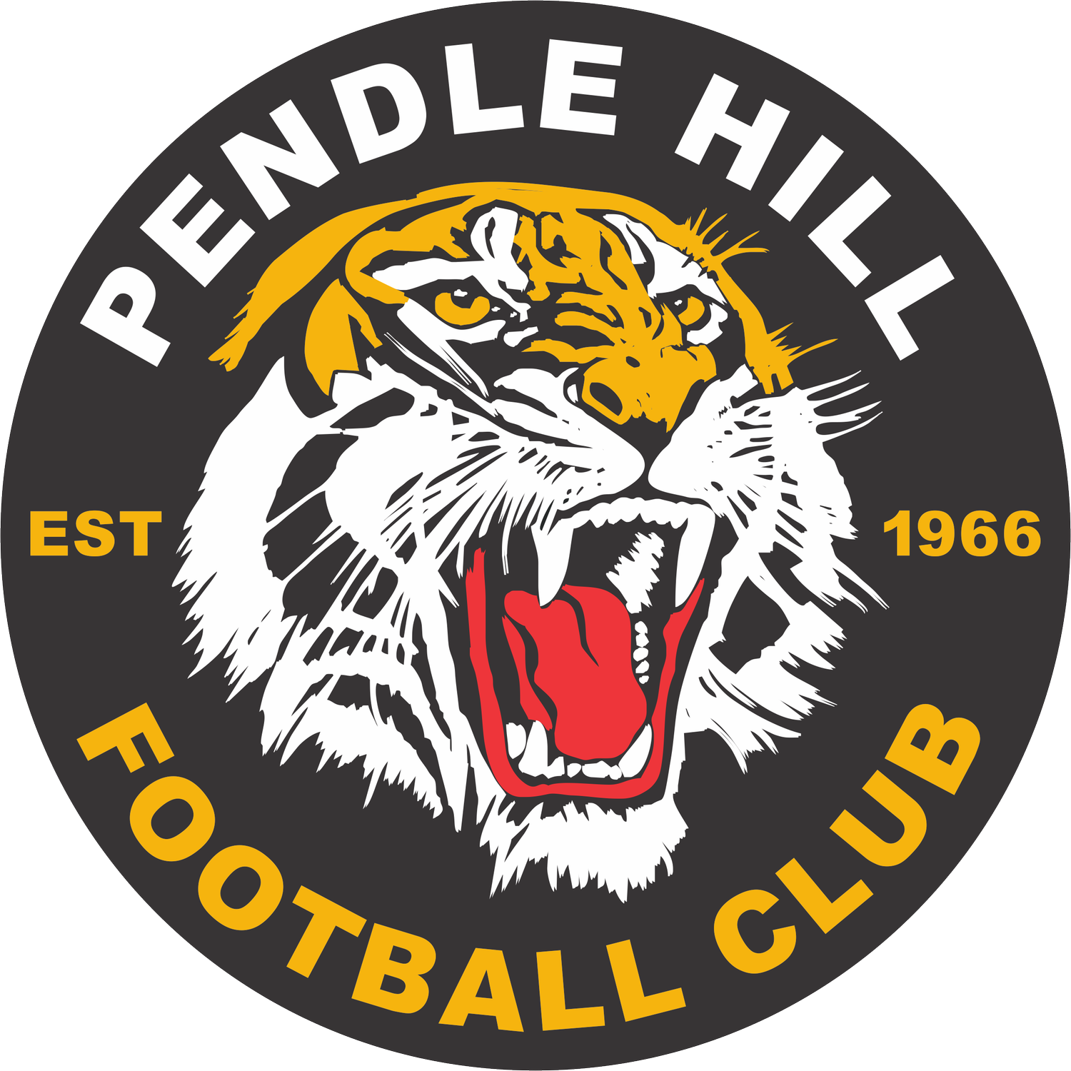 Pendle Hill FC