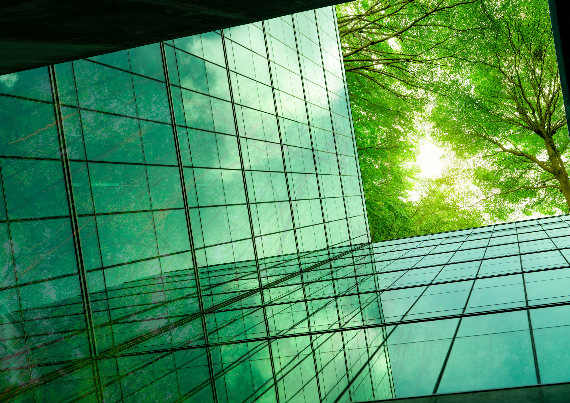 Curated visual reference: Fresh Look at Environmental Compliance And Sustainability In Australian Construction