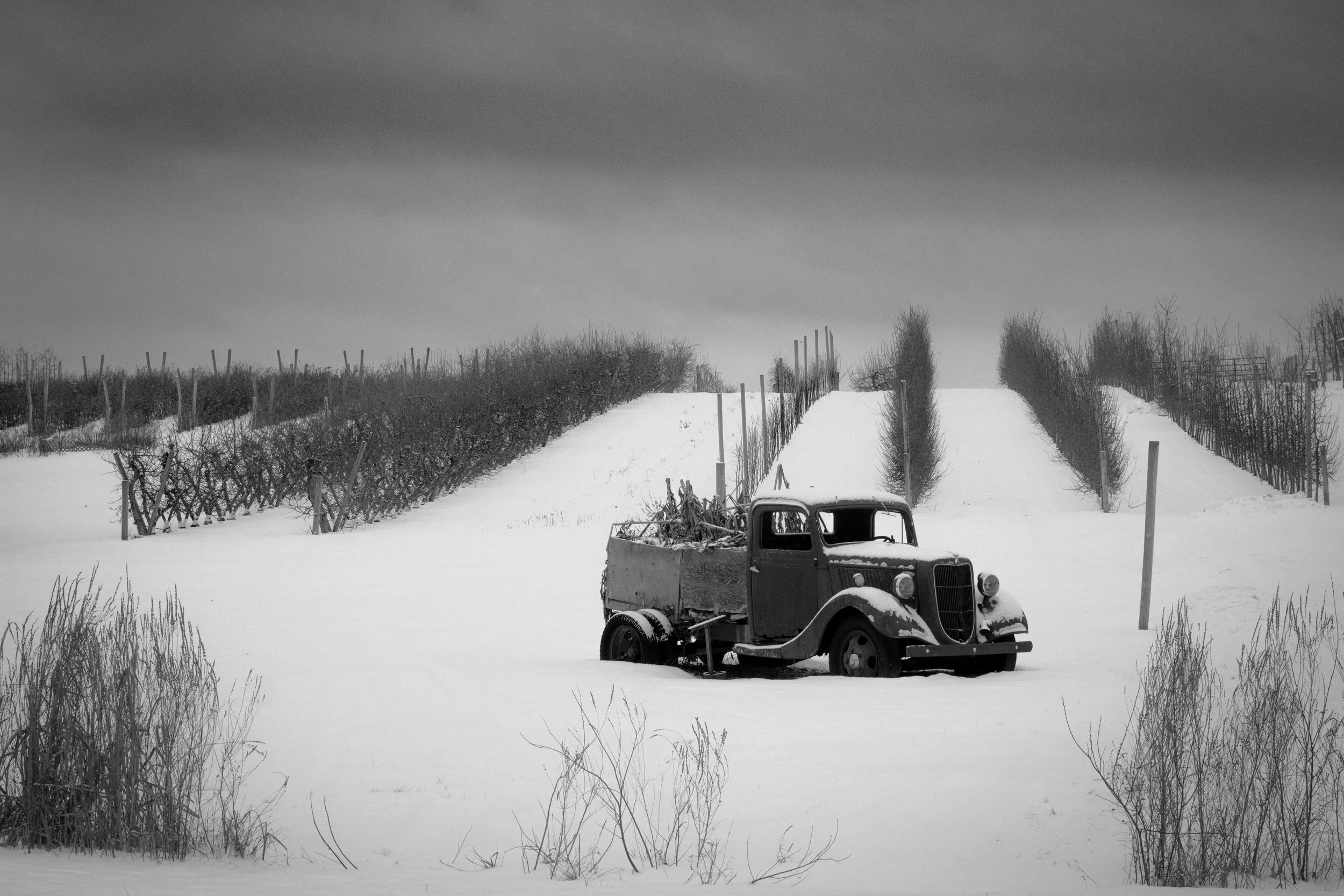 Jennie 6\22\2025-1.jpeg