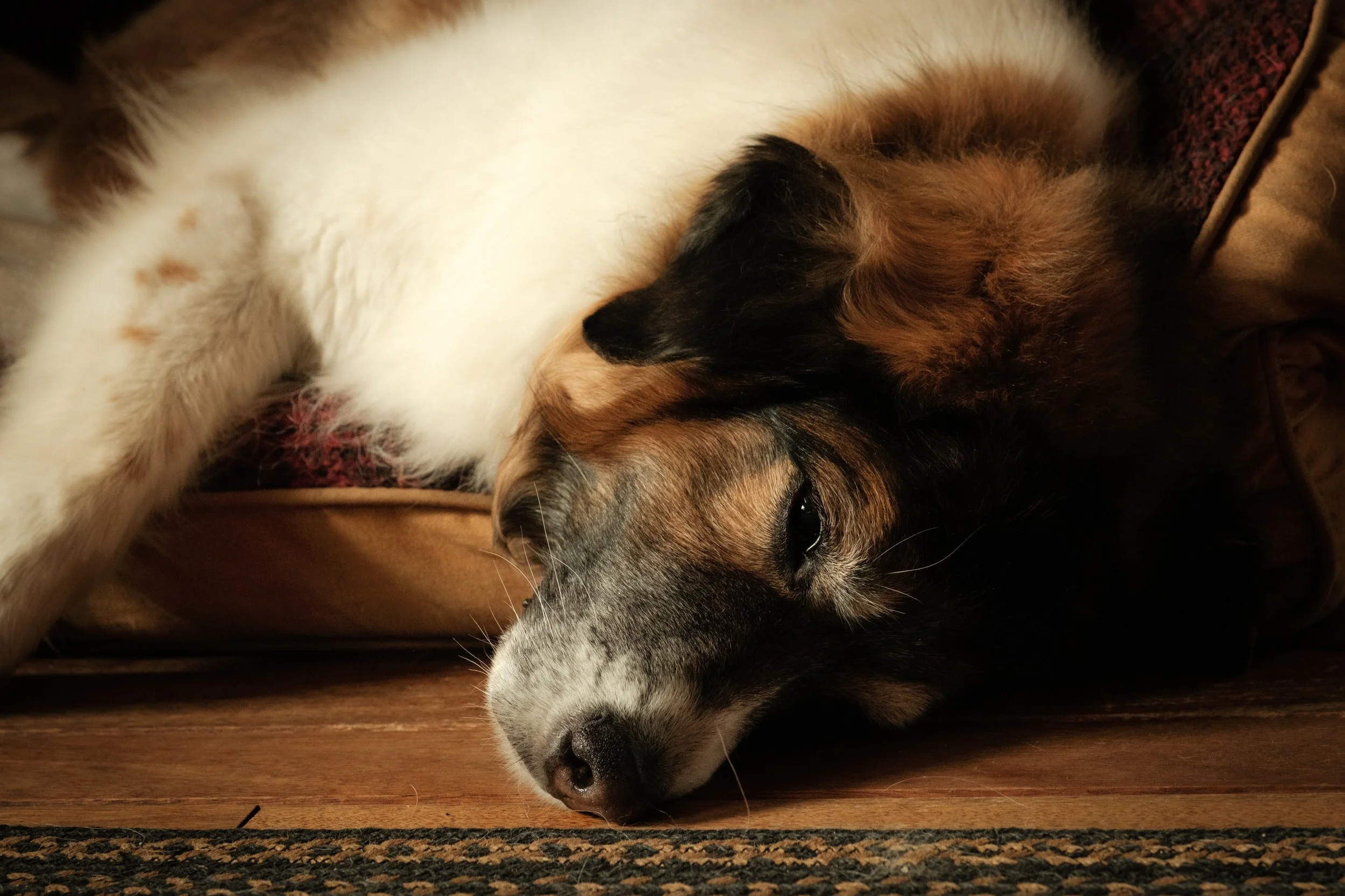 Jennie 6\22\2025-1.jpeg