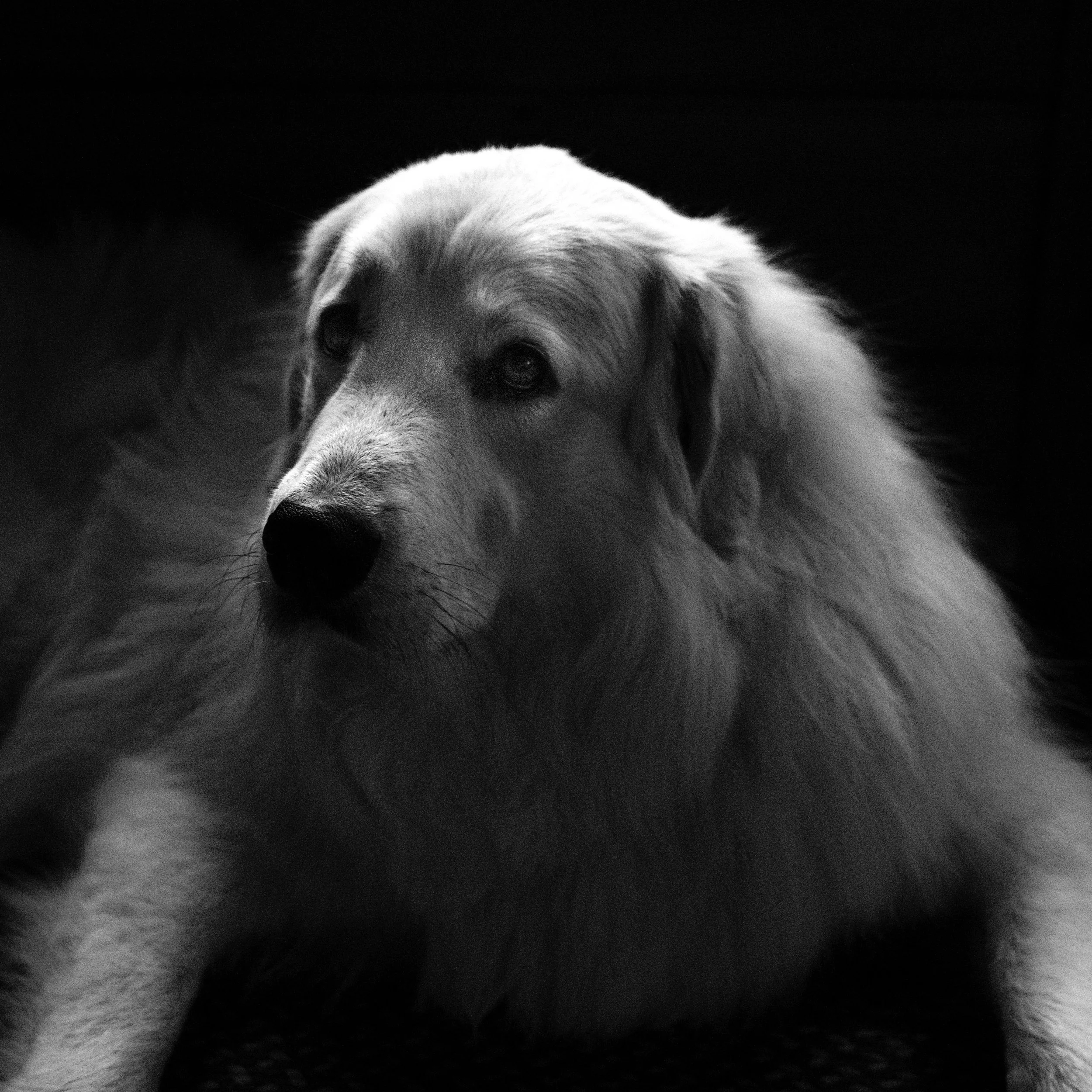 Jennie 6\22\2025-1.jpeg