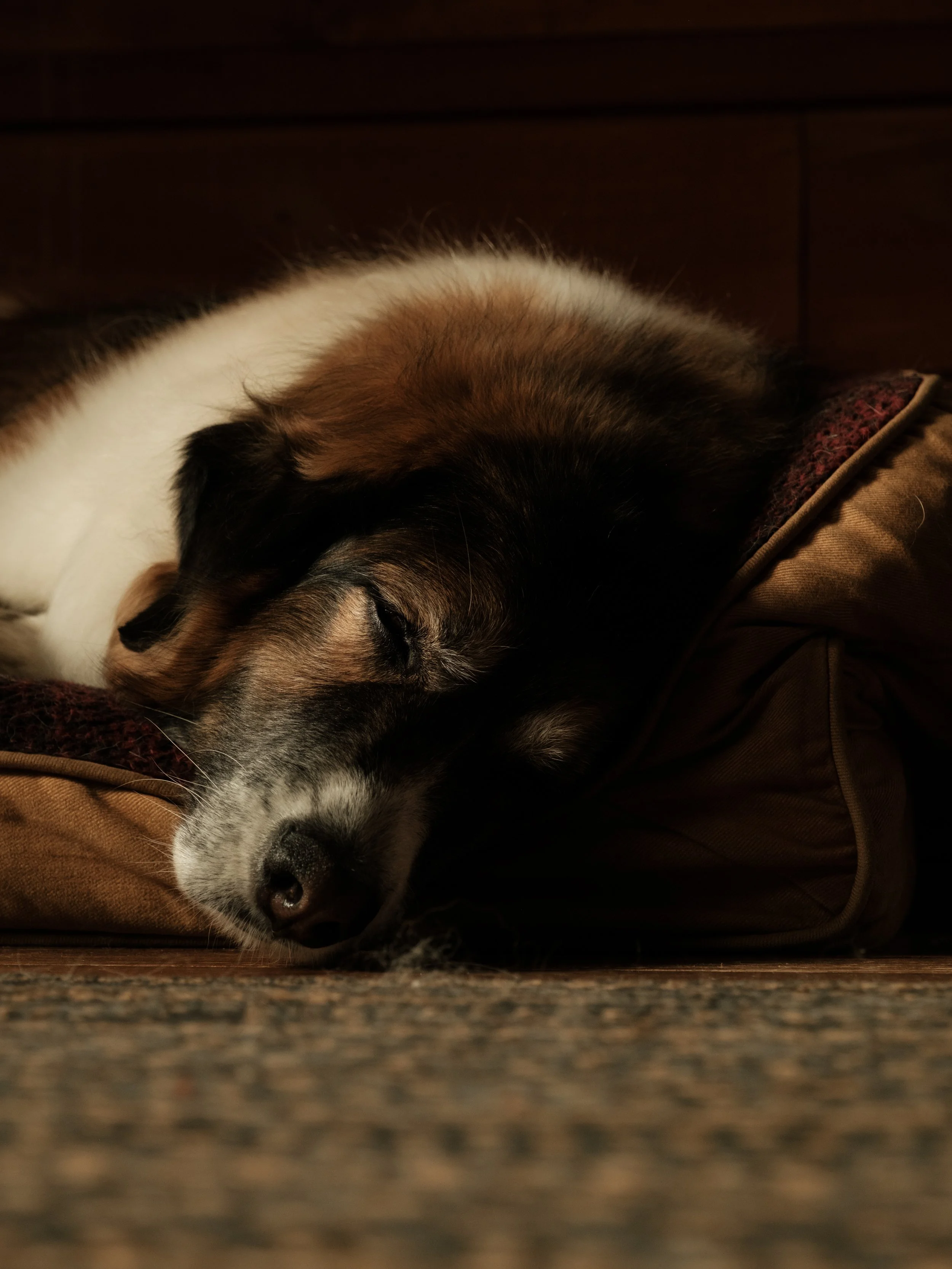 Jennie 6\22\2025-1.jpeg