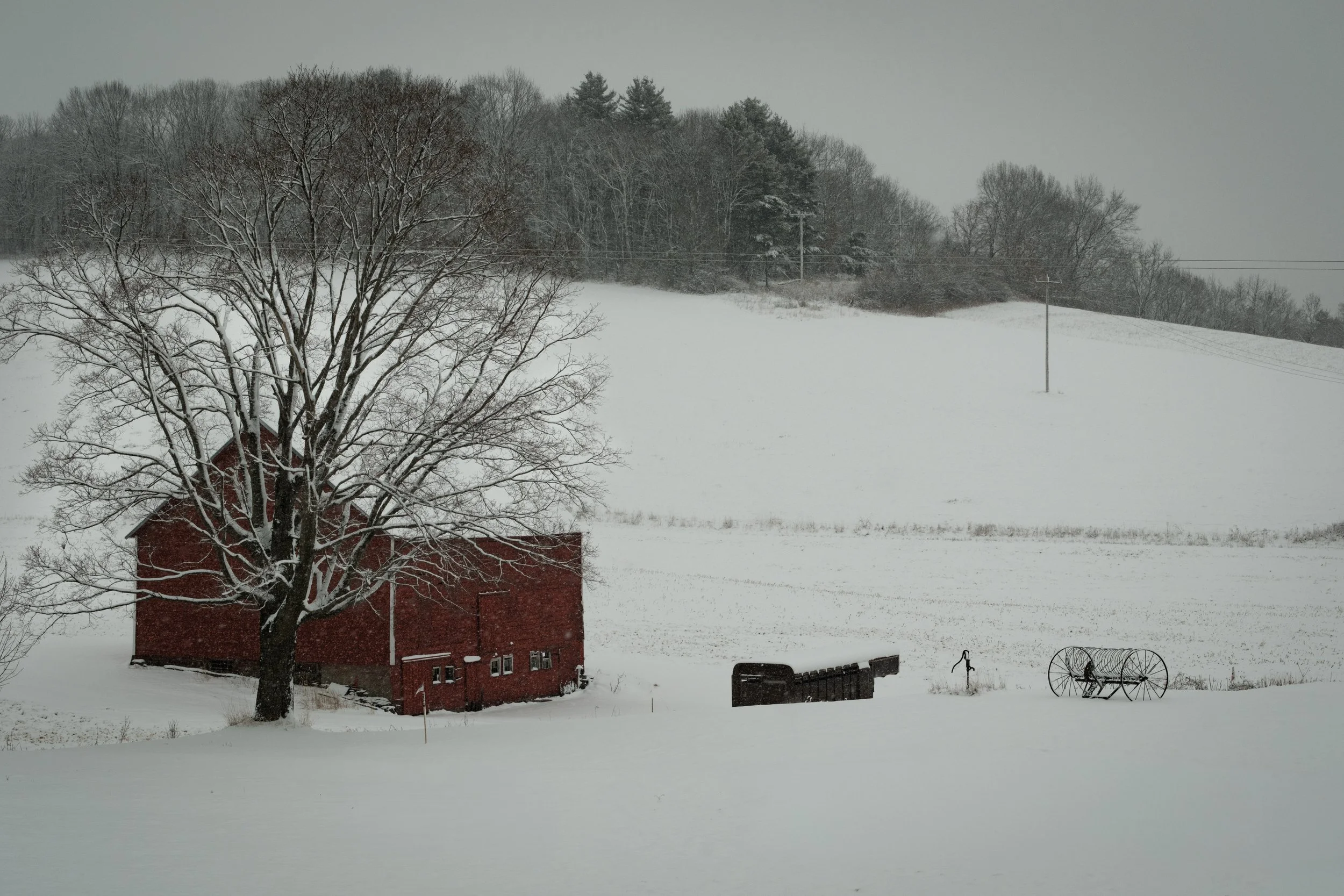 Jennie 6\22\2025-1.jpeg